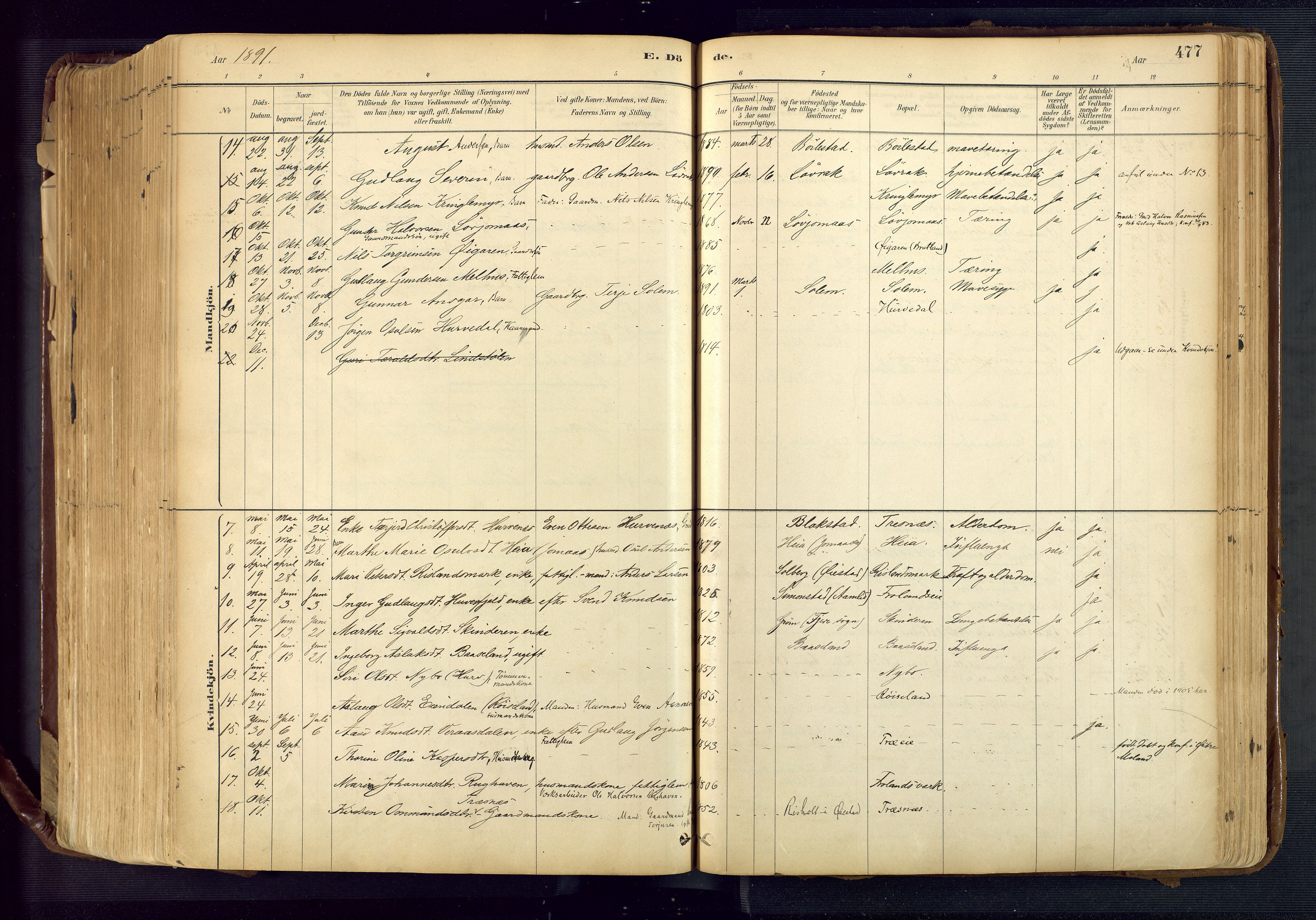 Froland sokneprestkontor, AV/SAK-1111-0013/F/Fa/L0005: Parish register (official) no. A 5, 1882-1921, p. 477