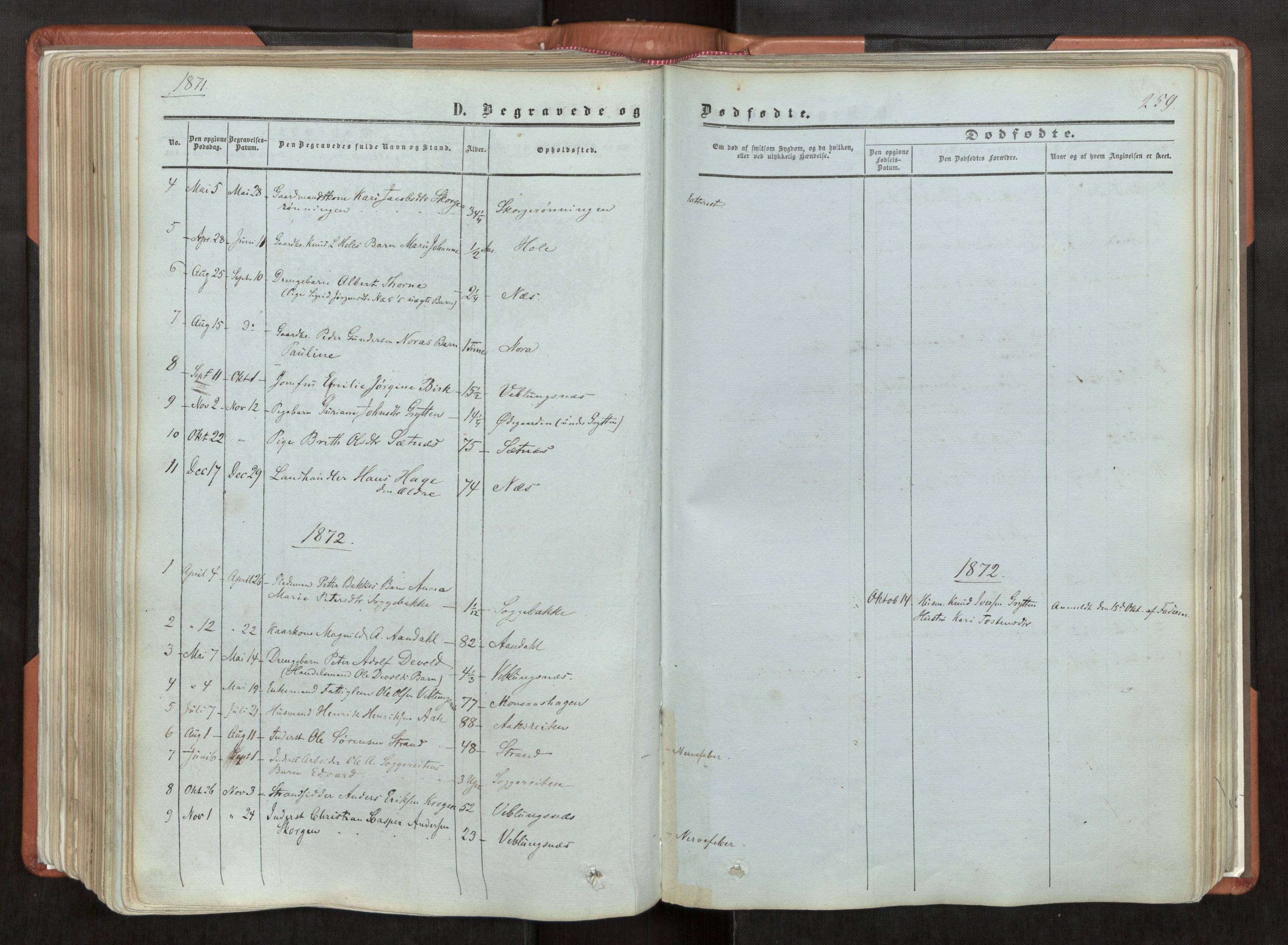 Ministerialprotokoller, klokkerbøker og fødselsregistre - Møre og Romsdal, SAT/A-1454/544/L0572: Parish register (official) no. 544A05, 1854-1886, p. 259