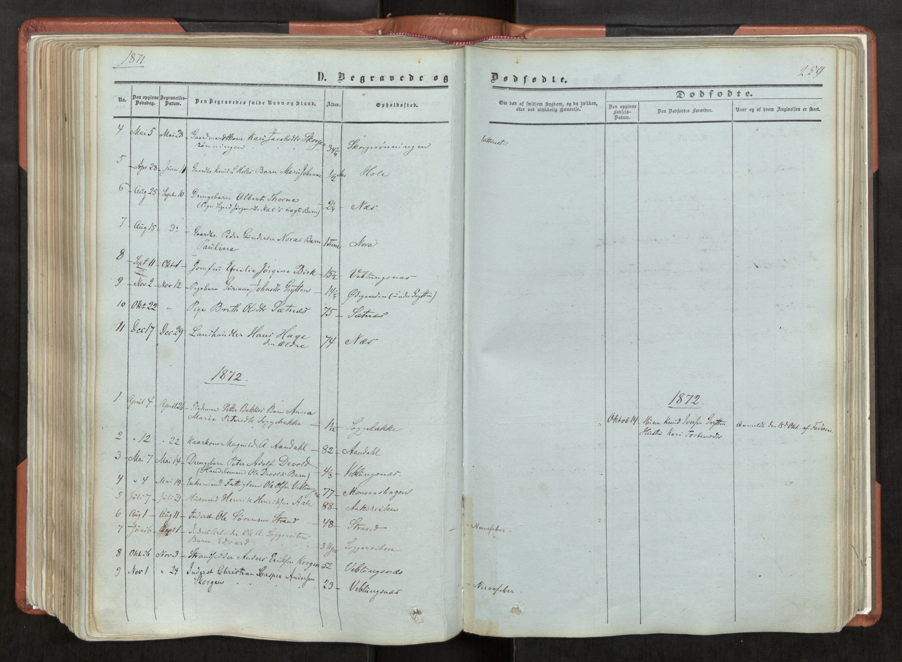 Ministerialprotokoller, klokkerbøker og fødselsregistre - Møre og Romsdal, AV/SAT-A-1454/544/L0572: Parish register (official) no. 544A05, 1854-1886, p. 259