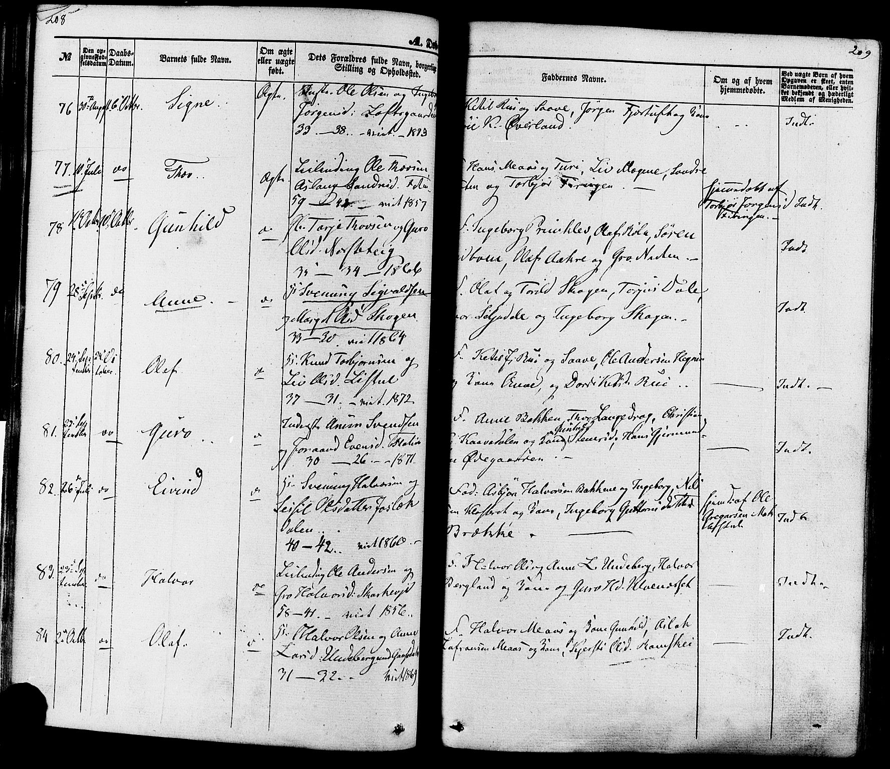 Seljord kirkebøker, AV/SAKO-A-20/F/Fa/L0013: Parish register (official) no. I 13, 1866-1876, p. 208-209