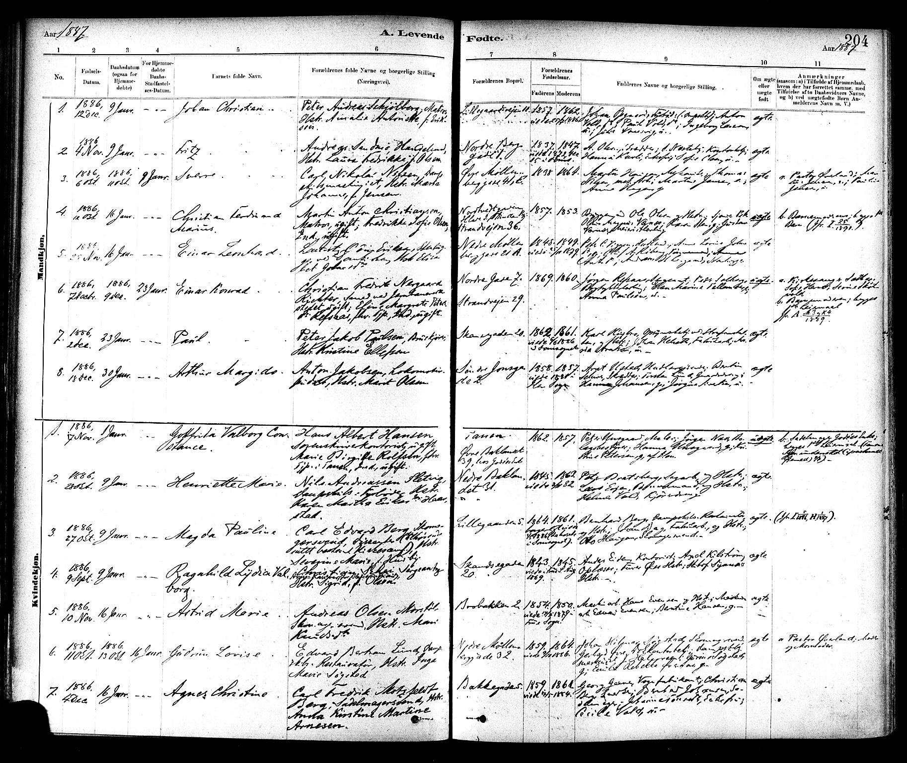 Ministerialprotokoller, klokkerbøker og fødselsregistre - Sør-Trøndelag, SAT/A-1456/604/L0188: Parish register (official) no. 604A09, 1878-1892, p. 204