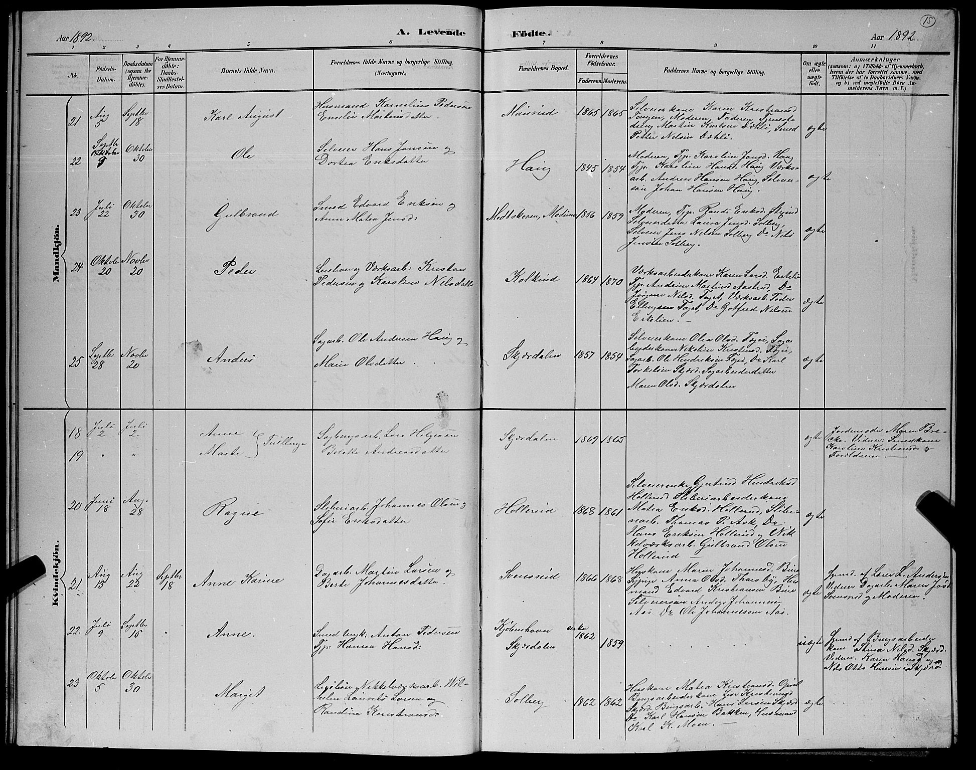 Hole kirkebøker, AV/SAKO-A-228/G/Gb/L0003: Parish register (copy) no. II 3, 1890-1901, p. 15