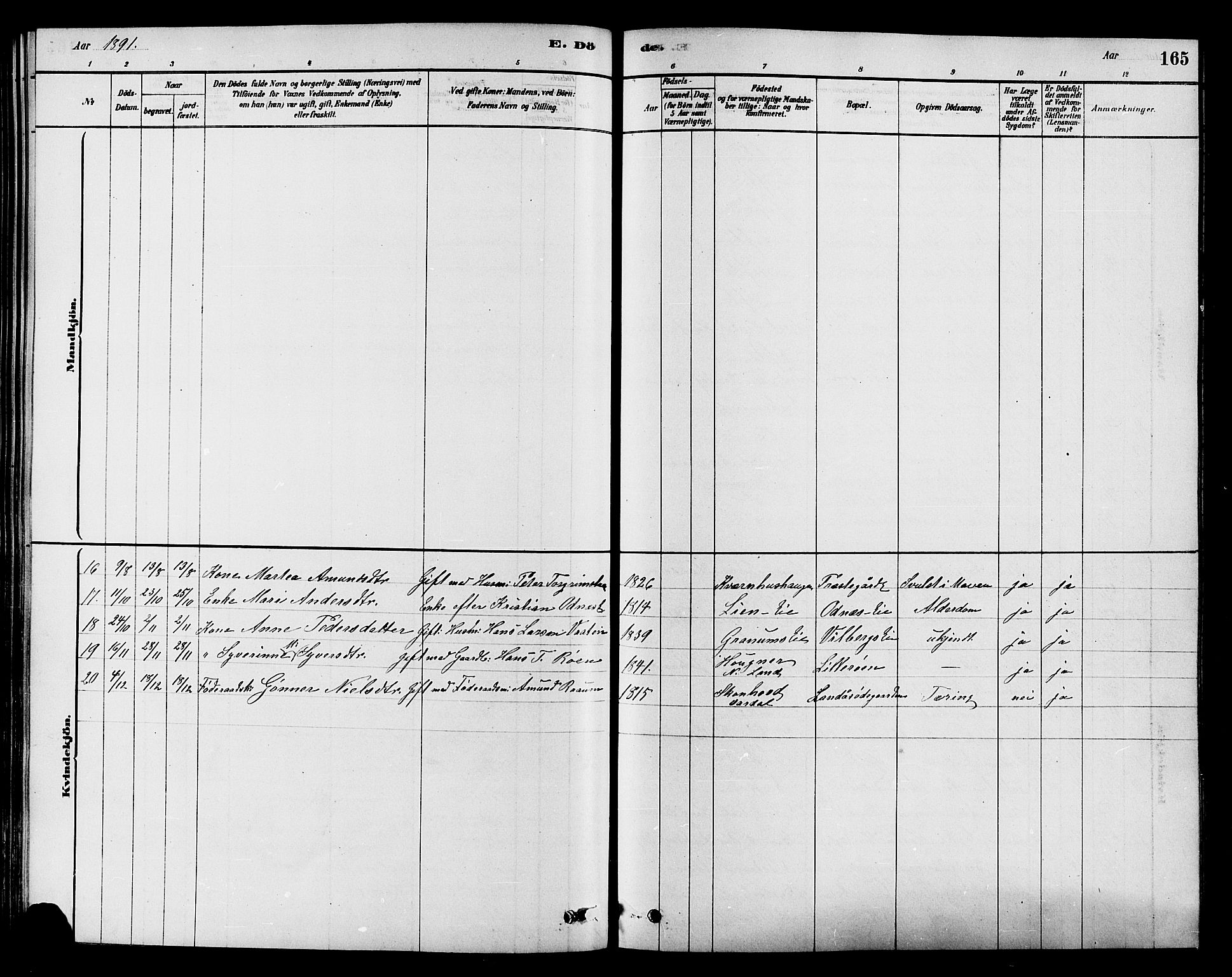 Søndre Land prestekontor, AV/SAH-PREST-122/K/L0002: Parish register (official) no. 2, 1878-1894, p. 165