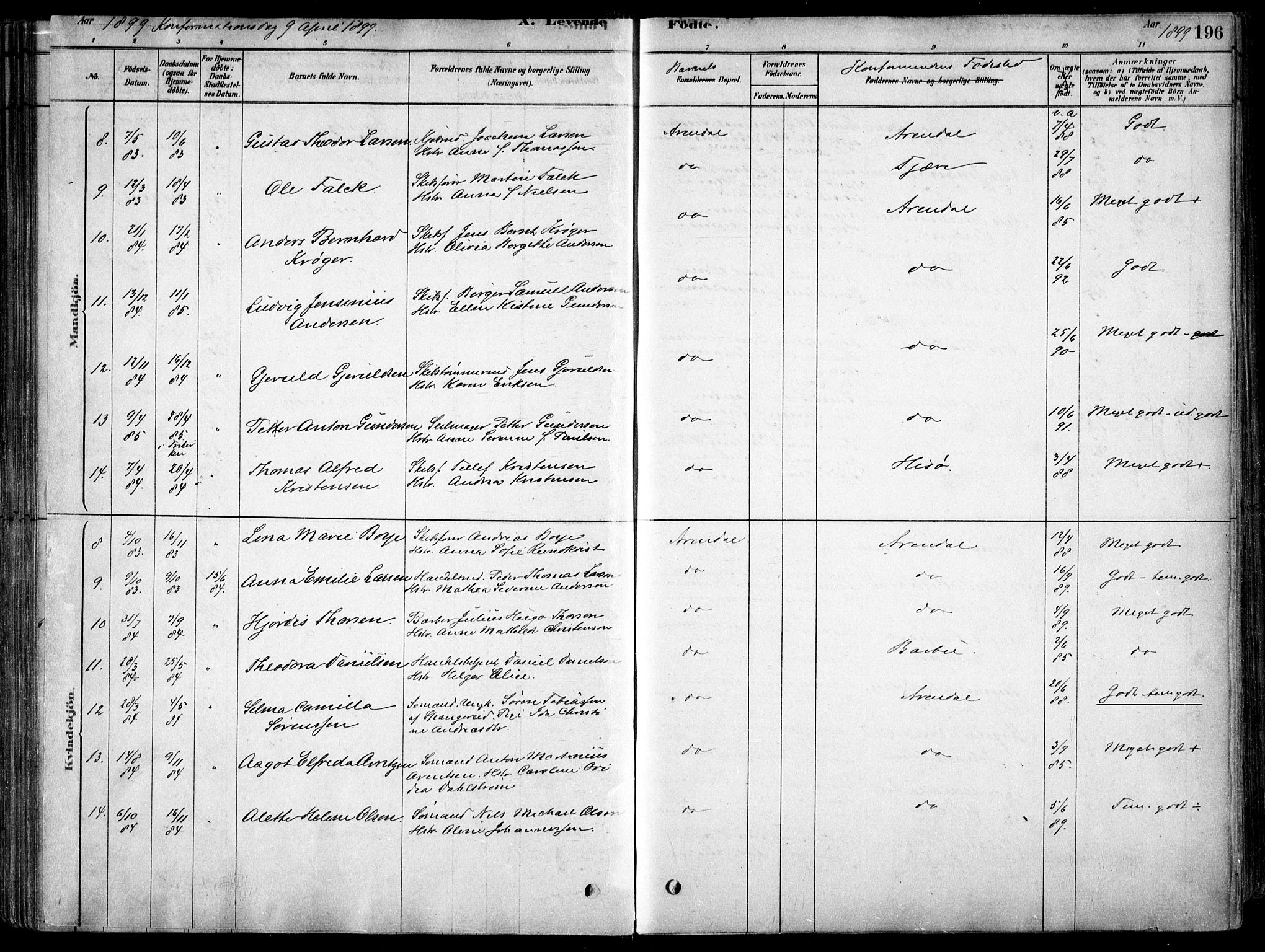 Arendal sokneprestkontor, Trefoldighet, SAK/1111-0040/F/Fa/L0008: Parish register (official) no. A 8, 1878-1899, p. 196