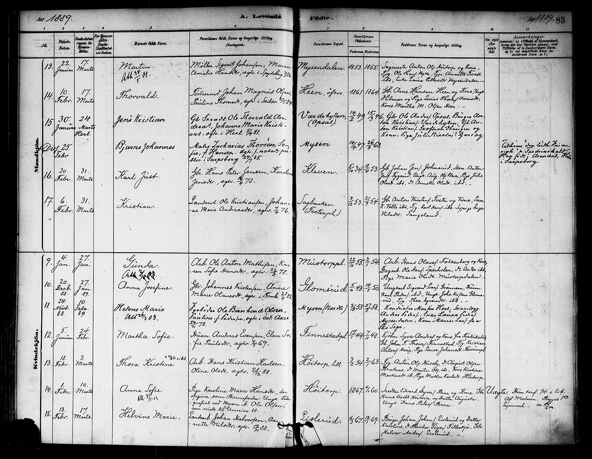 Eidsberg prestekontor Kirkebøker, SAO/A-10905/F/Fa/L0012: Parish register (official) no. I 12, 1879-1901, p. 85