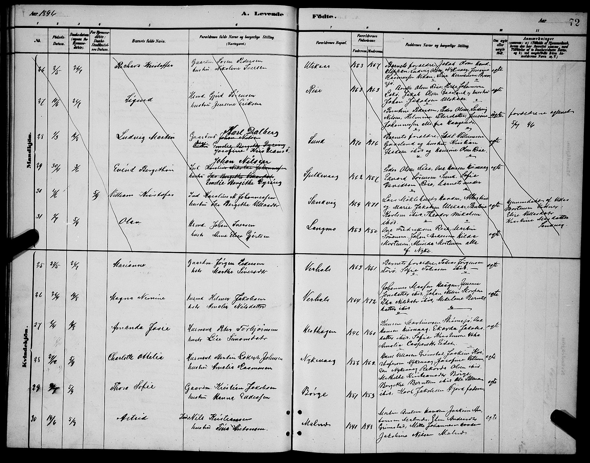 Ministerialprotokoller, klokkerbøker og fødselsregistre - Nordland, AV/SAT-A-1459/892/L1325: Parish register (copy) no. 892C02, 1878-1896, p. 72