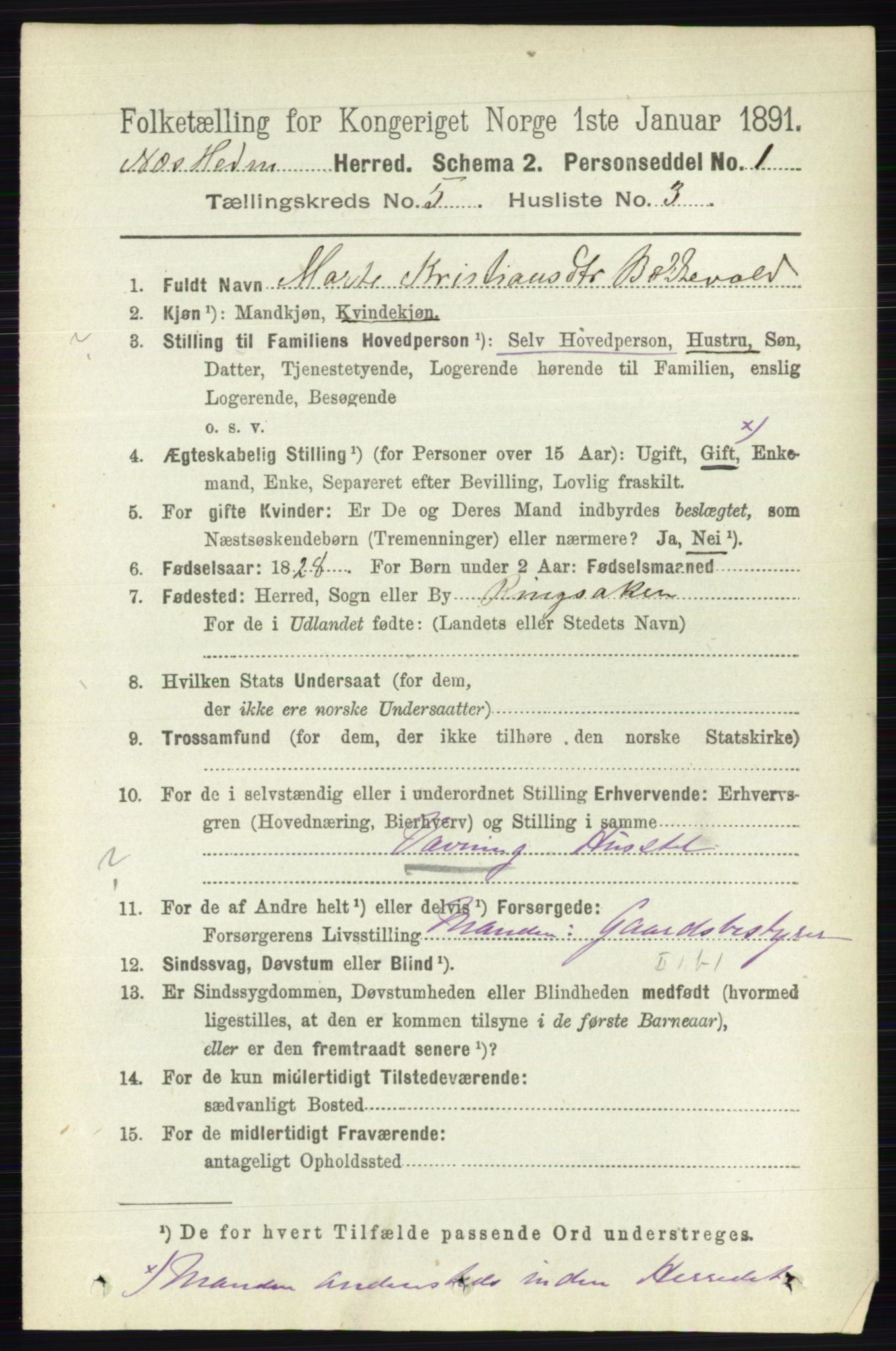 RA, 1891 census for 0411 Nes, 1891, p. 2615