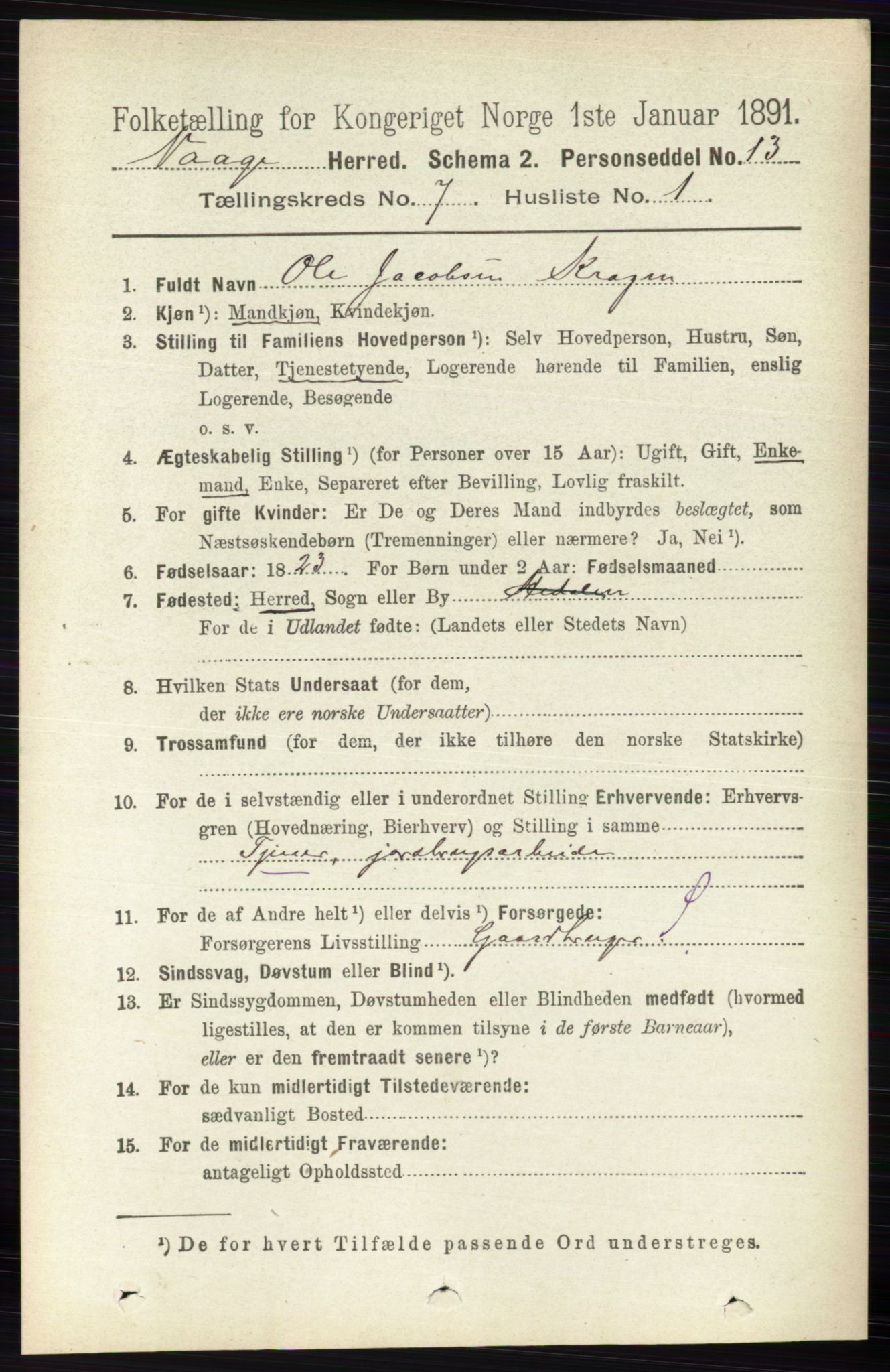 RA, 1891 census for 0515 Vågå, 1891, p. 4338