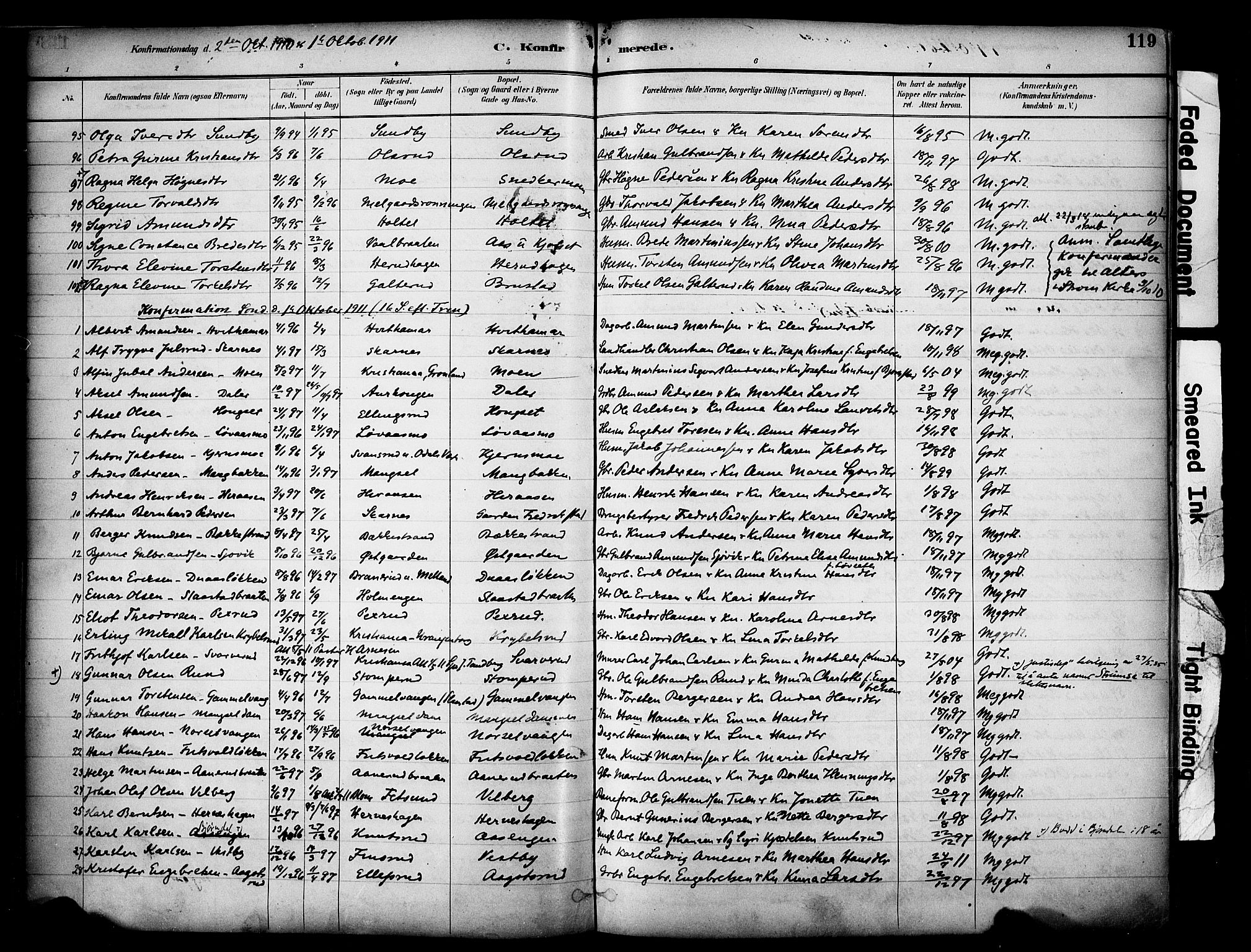 Sør-Odal prestekontor, SAH/PREST-030/H/Ha/Haa/L0007: Parish register (official) no. 7, 1886-1925, p. 119