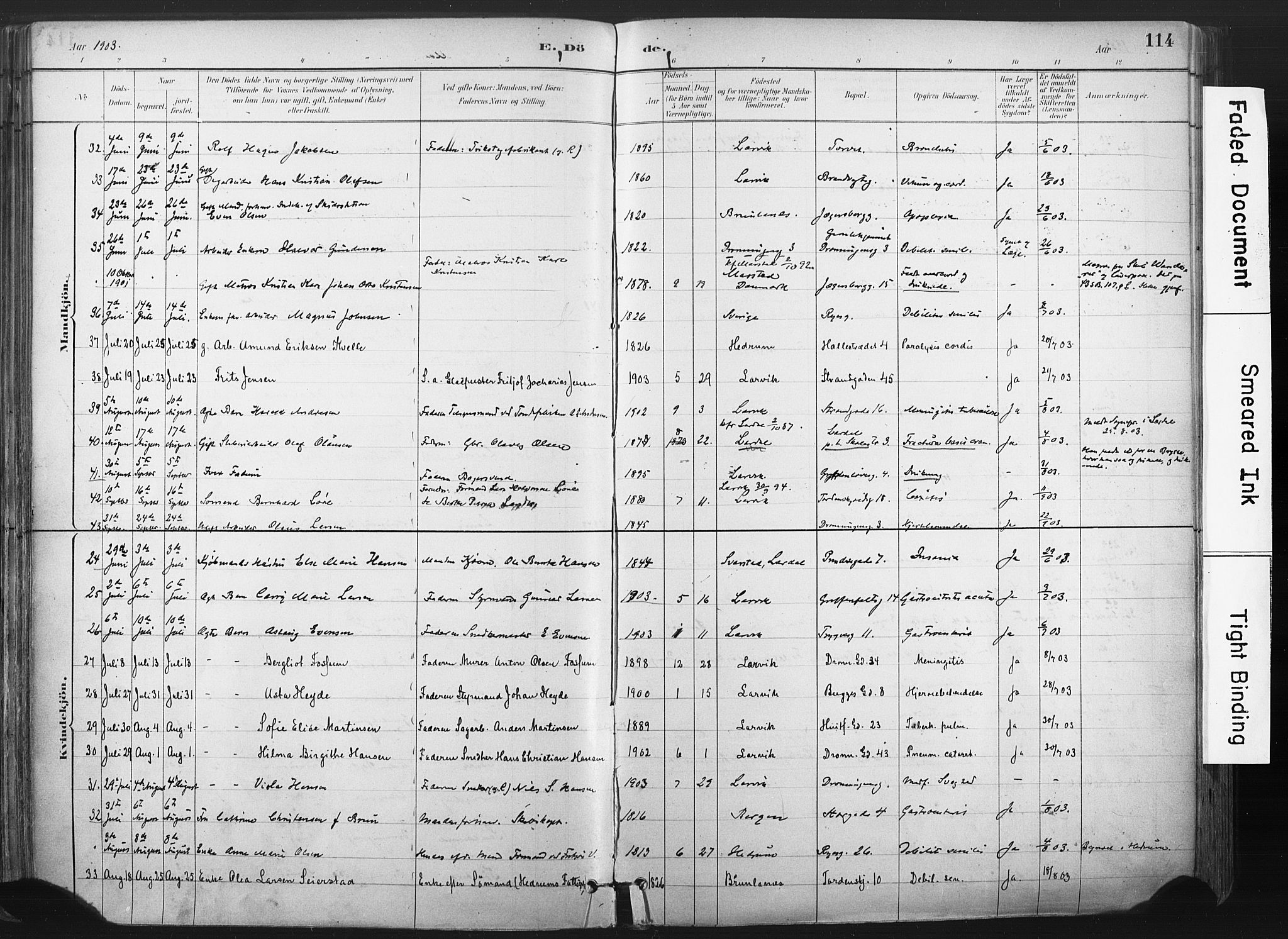 Larvik kirkebøker, AV/SAKO-A-352/F/Fa/L0010: Parish register (official) no. I 10, 1884-1910, p. 114