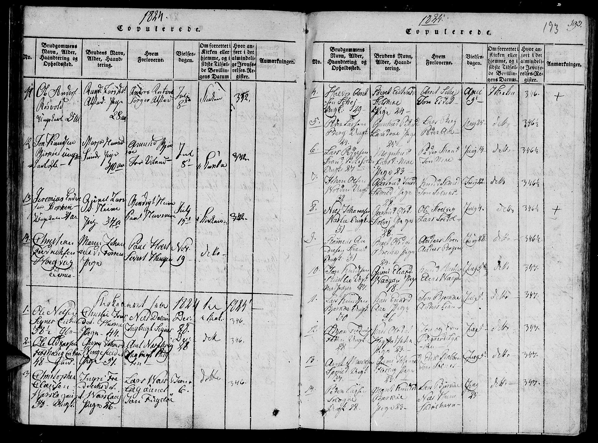 Ministerialprotokoller, klokkerbøker og fødselsregistre - Sør-Trøndelag, SAT/A-1456/630/L0491: Parish register (official) no. 630A04, 1818-1830, p. 193