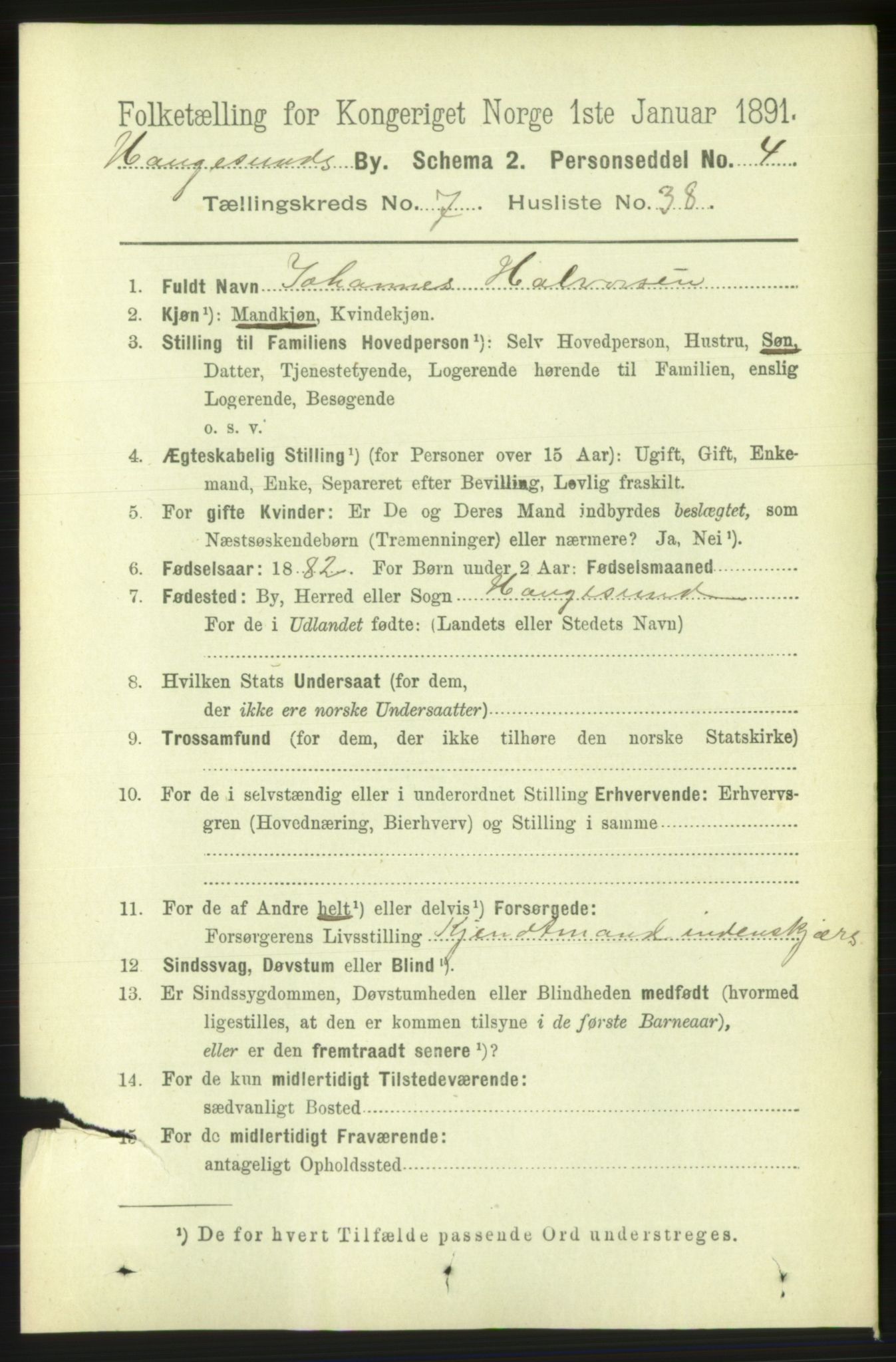 RA, 1891 census for 1106 Haugesund, 1891, p. 3513