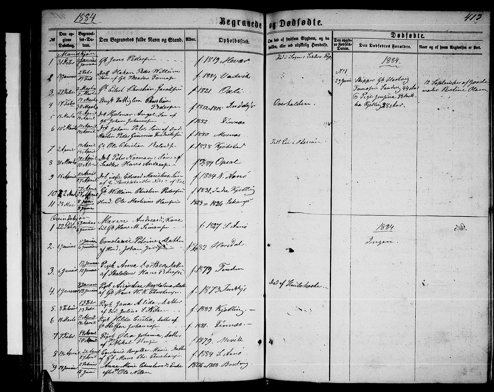 Ministerialprotokoller, klokkerbøker og fødselsregistre - Nordland, AV/SAT-A-1459/805/L0107: Parish register (copy) no. 805C03, 1862-1885, p. 413