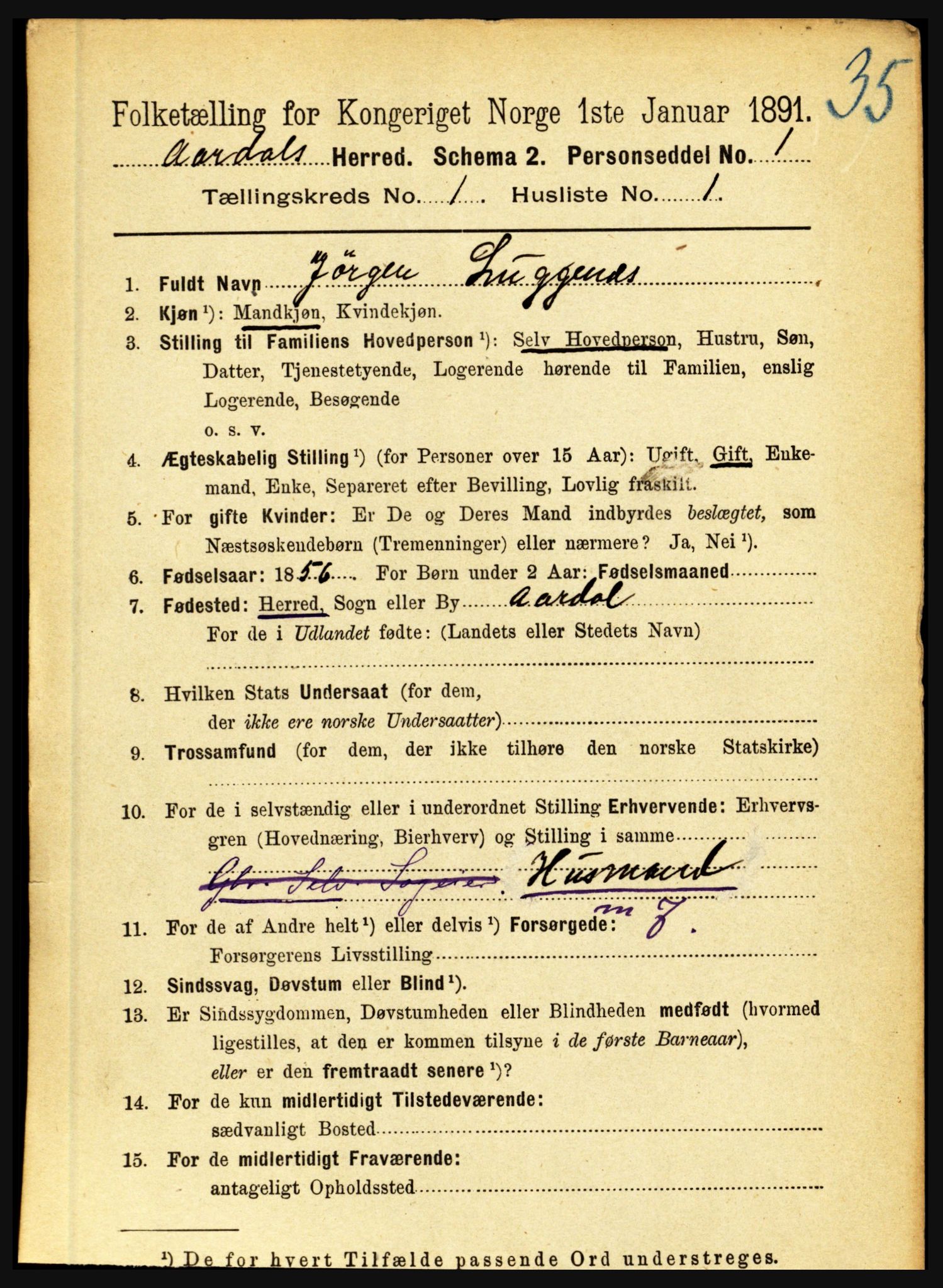 RA, 1891 census for 1424 Årdal, 1891, p. 35