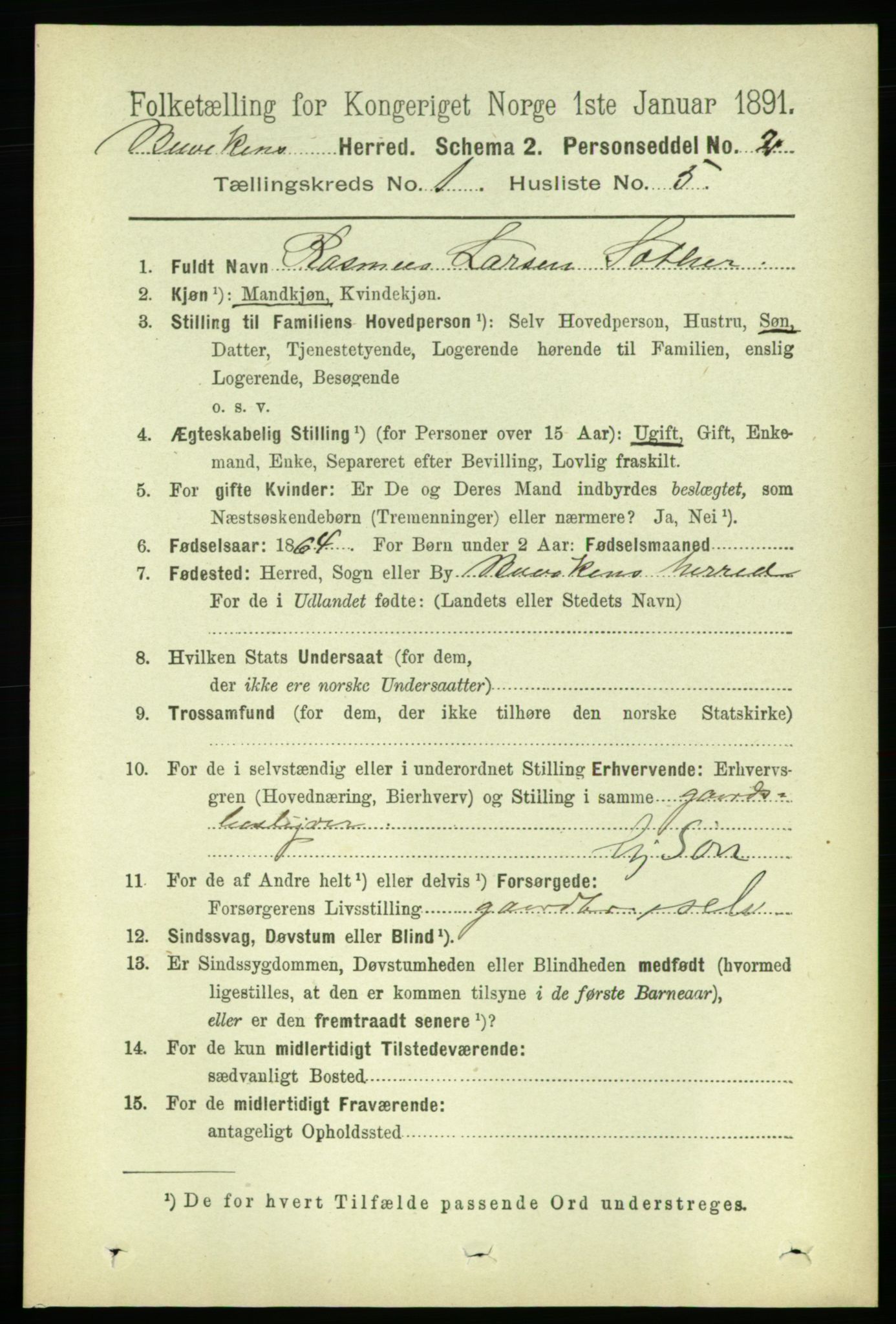 RA, 1891 census for 1656 Buvik, 1891, p. 123