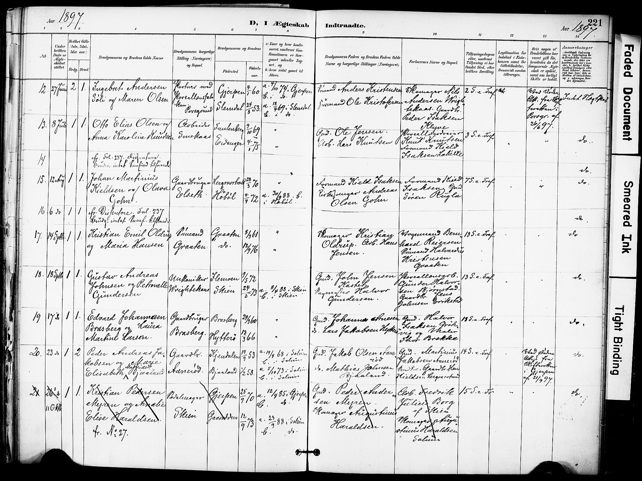 Solum kirkebøker, SAKO/A-306/F/Fa/L0010: Parish register (official) no. I 10, 1888-1898, p. 221