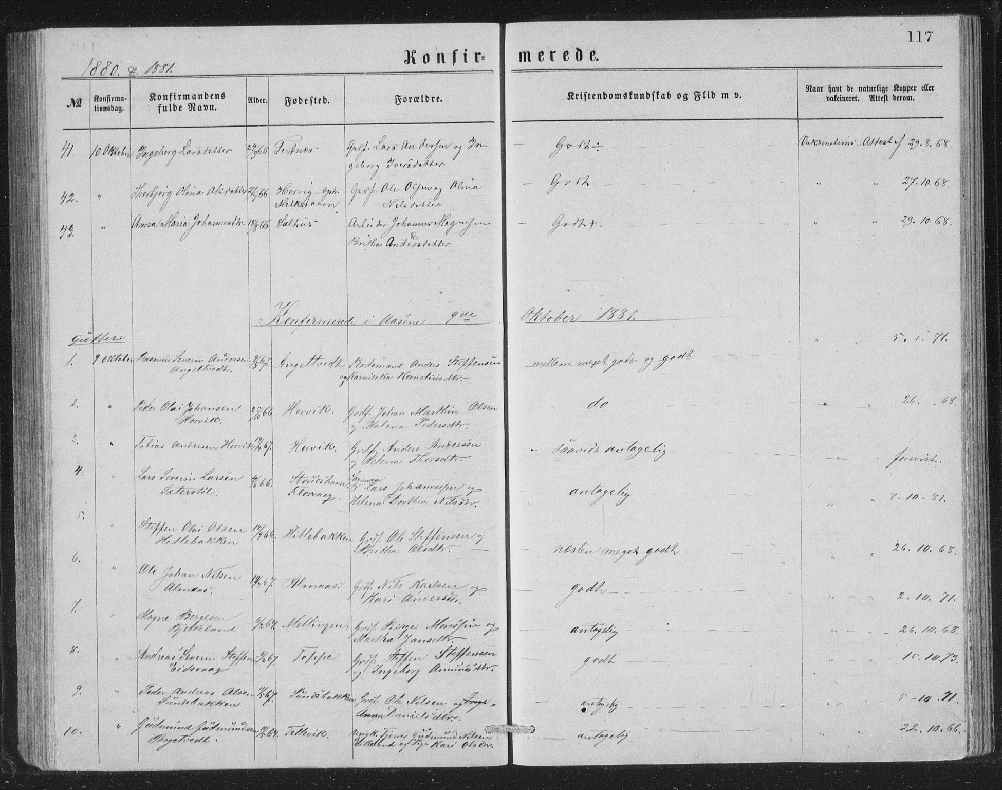 Åsane sokneprestembete, SAB/A-79401/H/Hab: Parish register (copy) no. A 1, 1870-1884, p. 117