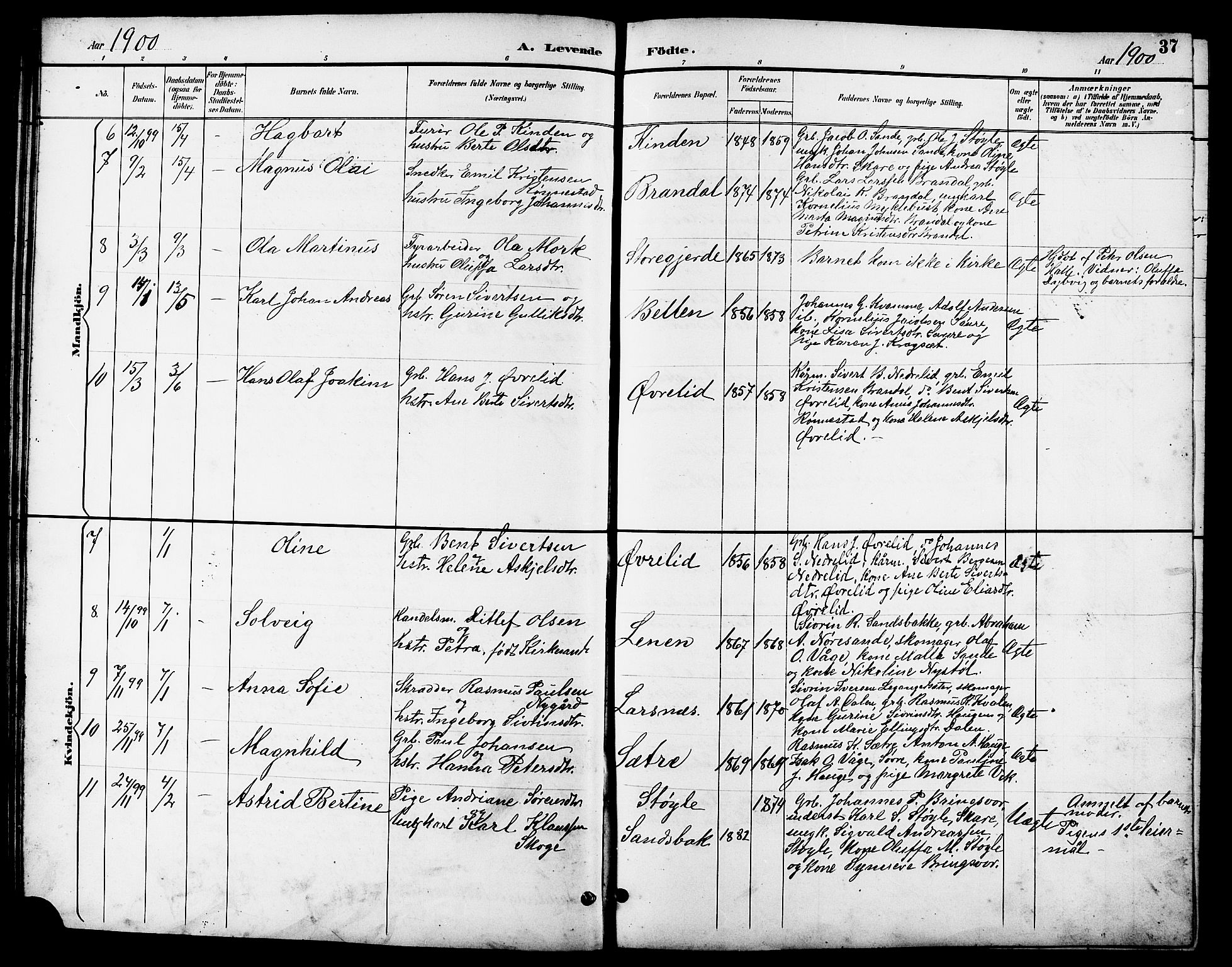 Ministerialprotokoller, klokkerbøker og fødselsregistre - Møre og Romsdal, AV/SAT-A-1454/503/L0049: Parish register (copy) no. 503C04, 1894-1915, p. 37