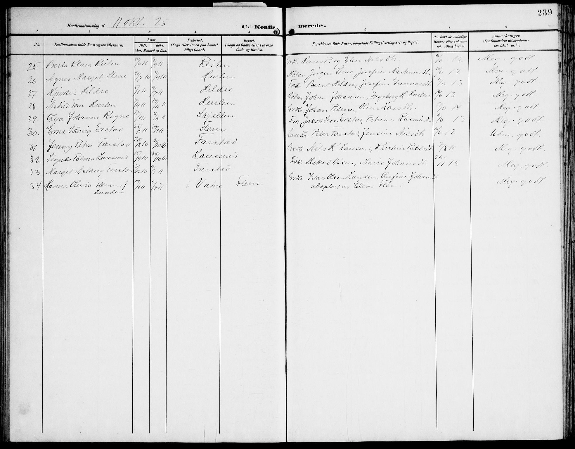 Ministerialprotokoller, klokkerbøker og fødselsregistre - Møre og Romsdal, AV/SAT-A-1454/536/L0511: Parish register (copy) no. 536C06, 1899-1944, p. 239