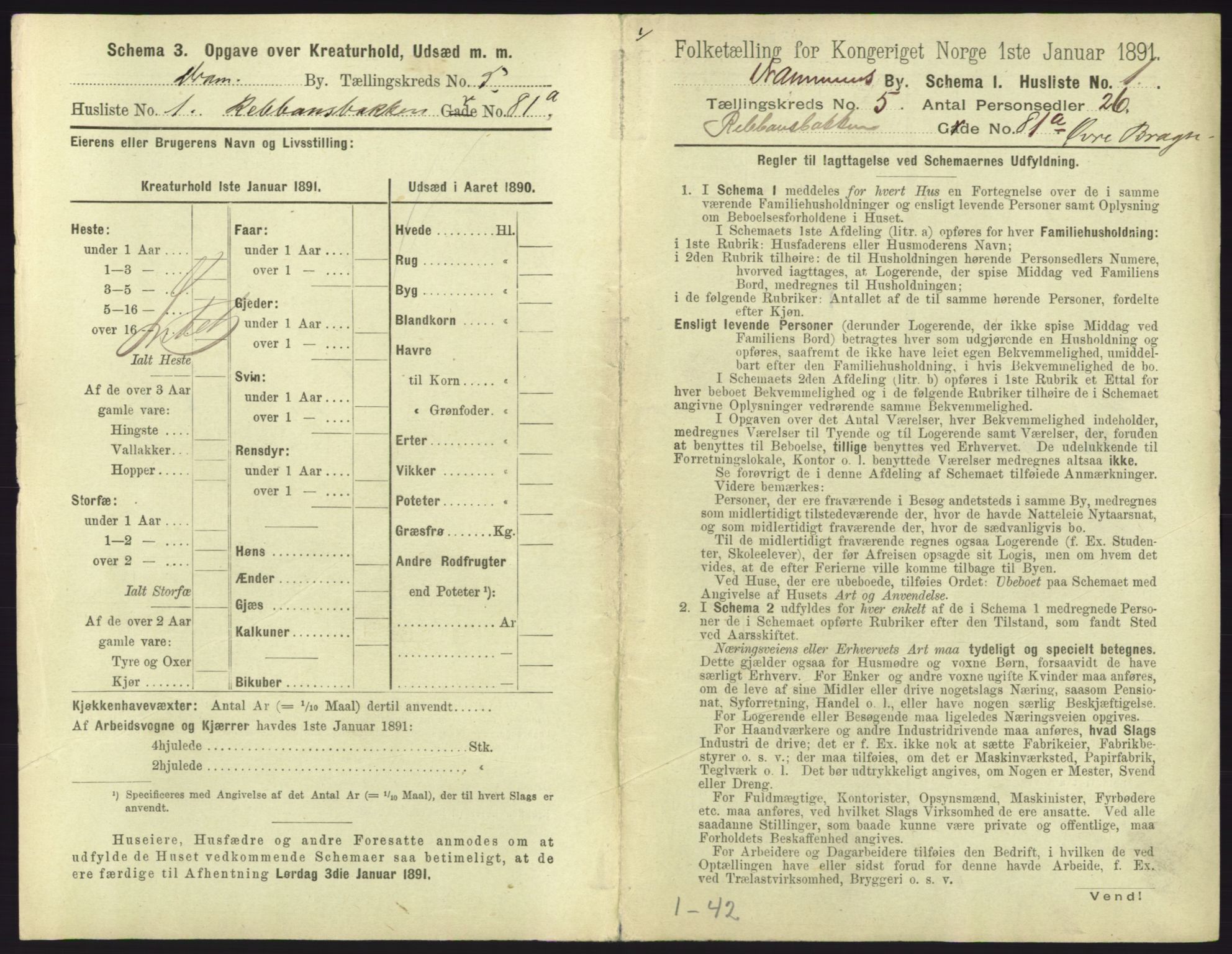 RA, 1891 census for 0602 Drammen, 1891, p. 435