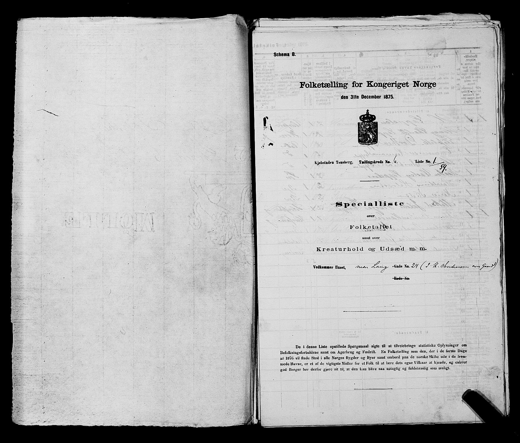 SAKO, 1875 census for 0705P Tønsberg, 1875, p. 165