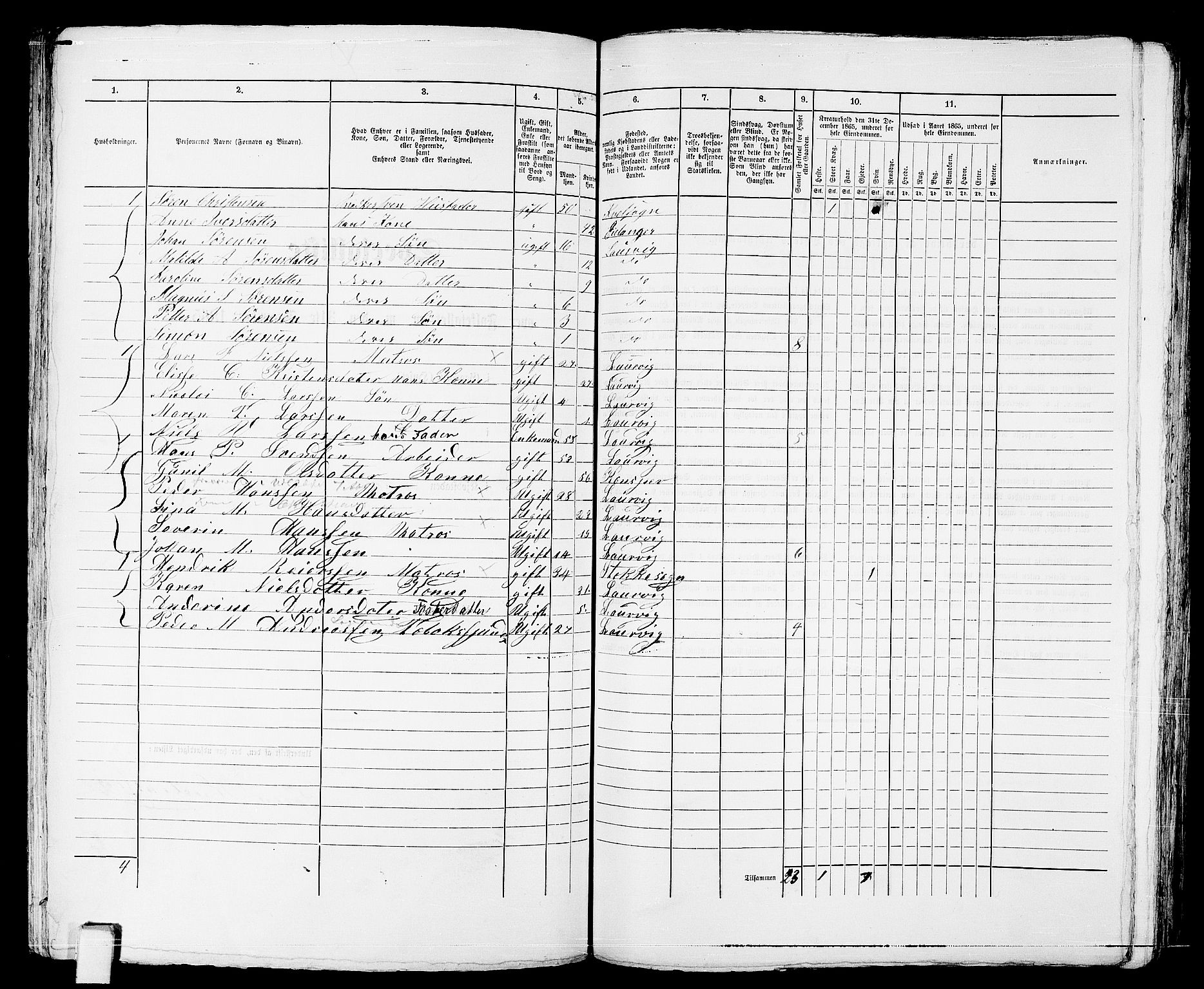 RA, 1865 census for Larvik, 1865, p. 260