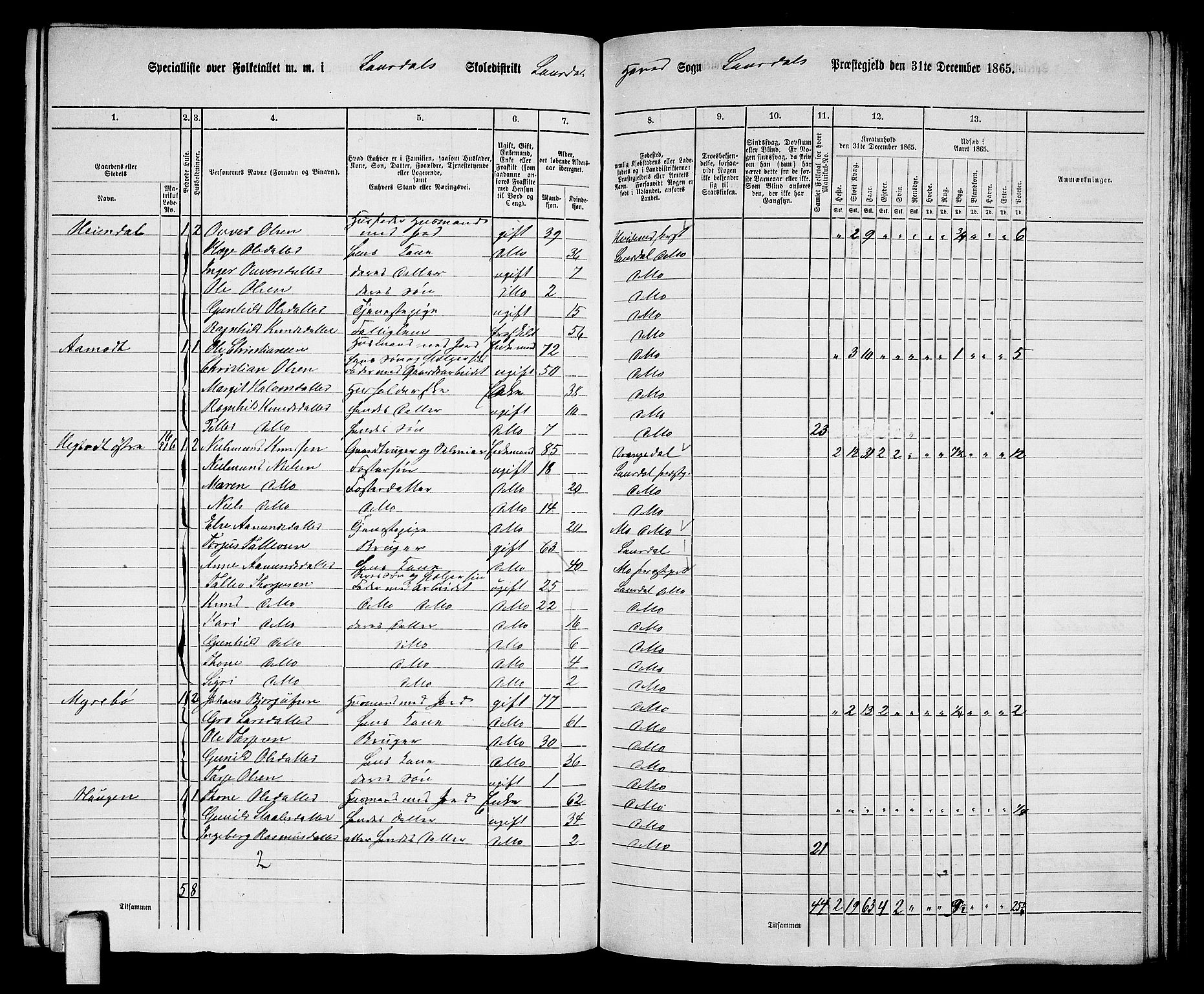 RA, 1865 census for Lårdal, 1865, p. 15