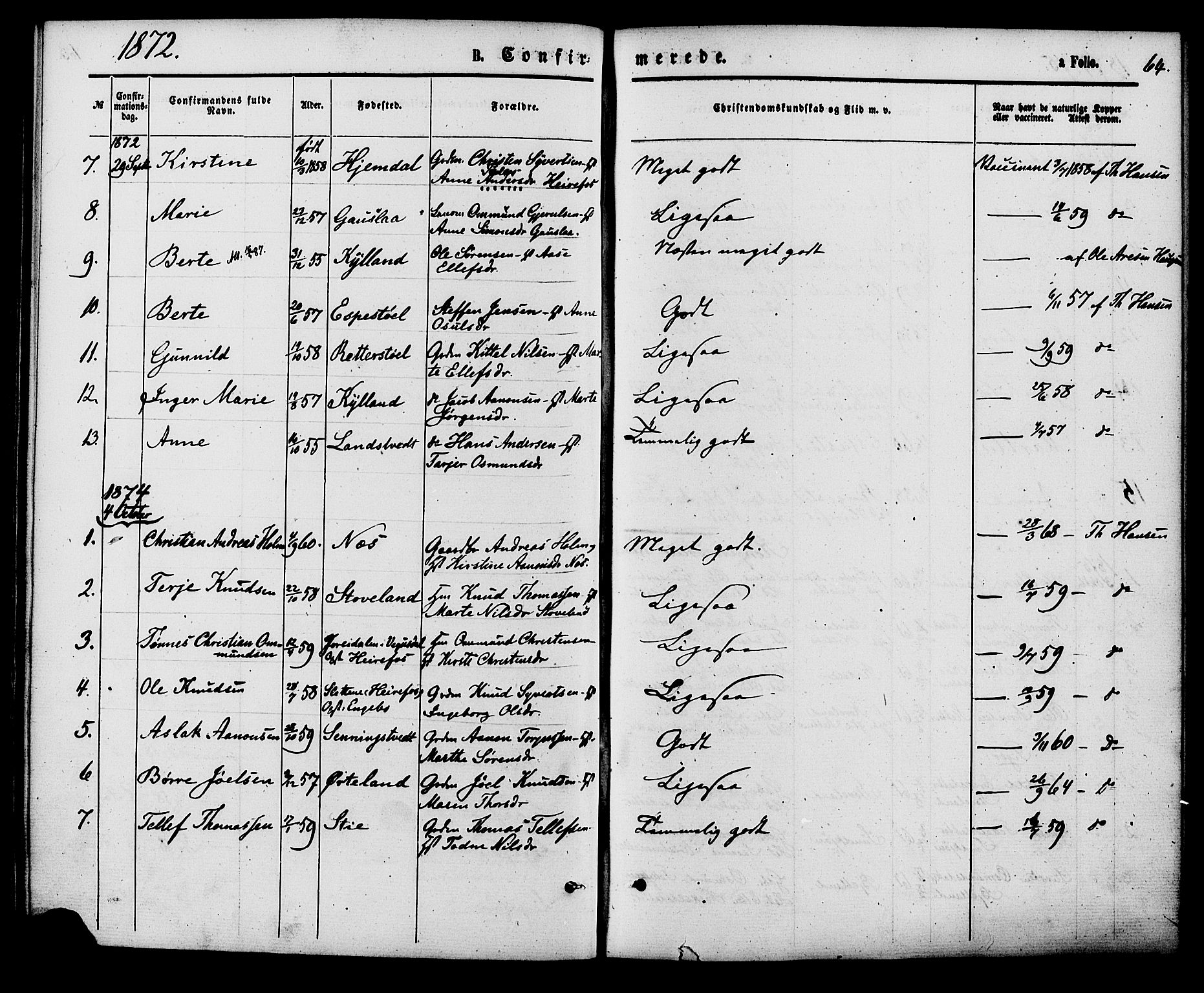 Herefoss sokneprestkontor, AV/SAK-1111-0019/F/Fa/Faa/L0002: Parish register (official) no. A 2, 1861-1886, p. 64