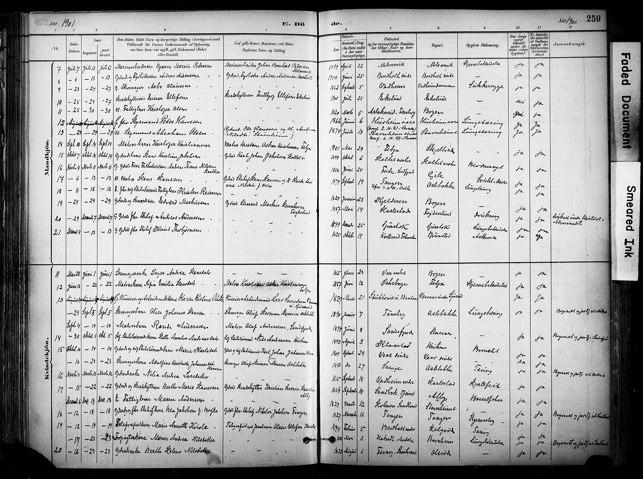 Stokke kirkebøker, SAKO/A-320/F/Fa/L0010: Parish register (official) no. I 10, 1884-1903, p. 259