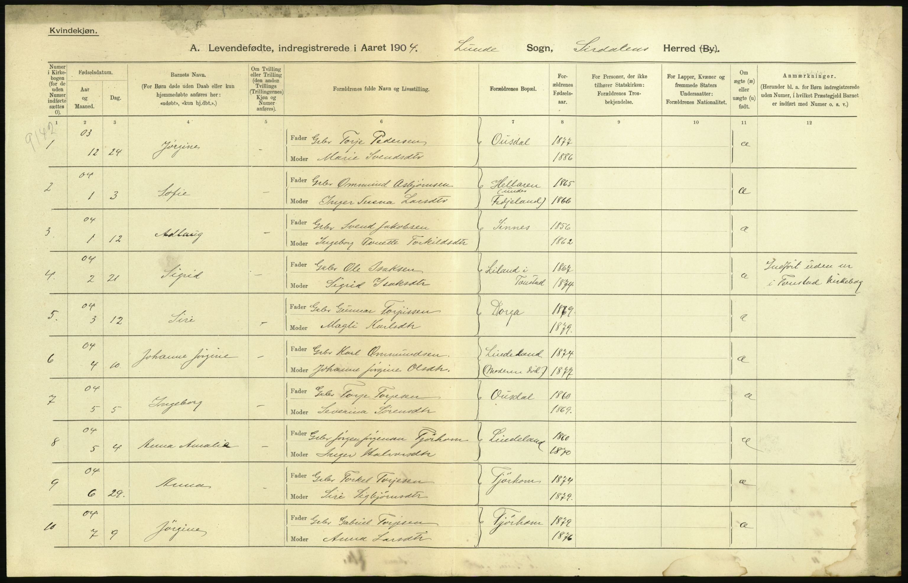 Statistisk sentralbyrå, Sosiodemografiske emner, Befolkning, AV/RA-S-2228/D/Df/Dfa/Dfab/L0011: Lister og Mandals amt: Fødte, gifte, døde, 1904, p. 5