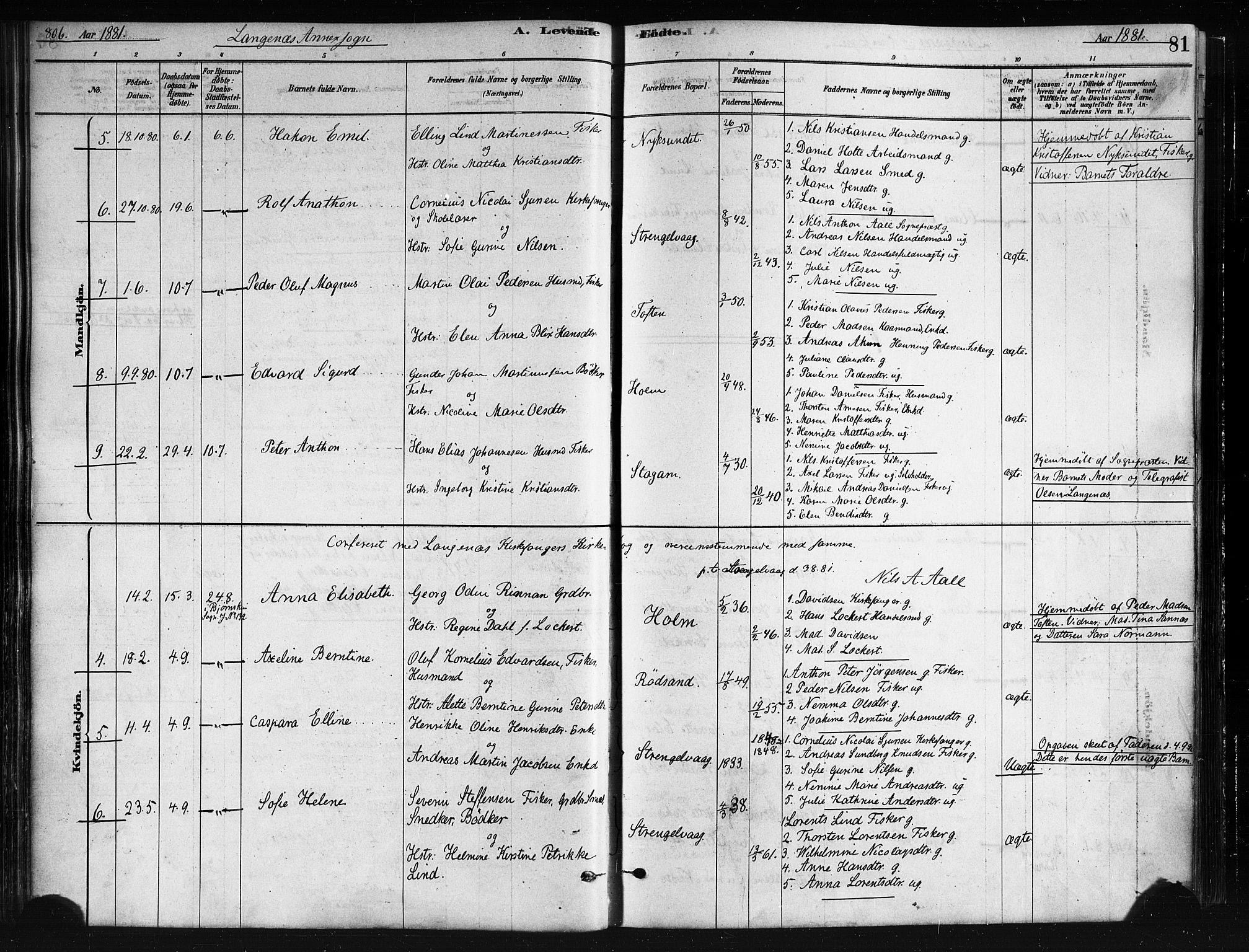 Ministerialprotokoller, klokkerbøker og fødselsregistre - Nordland, AV/SAT-A-1459/893/L1335: Parish register (official) no. 893A08 /2, 1878-1884, p. 81