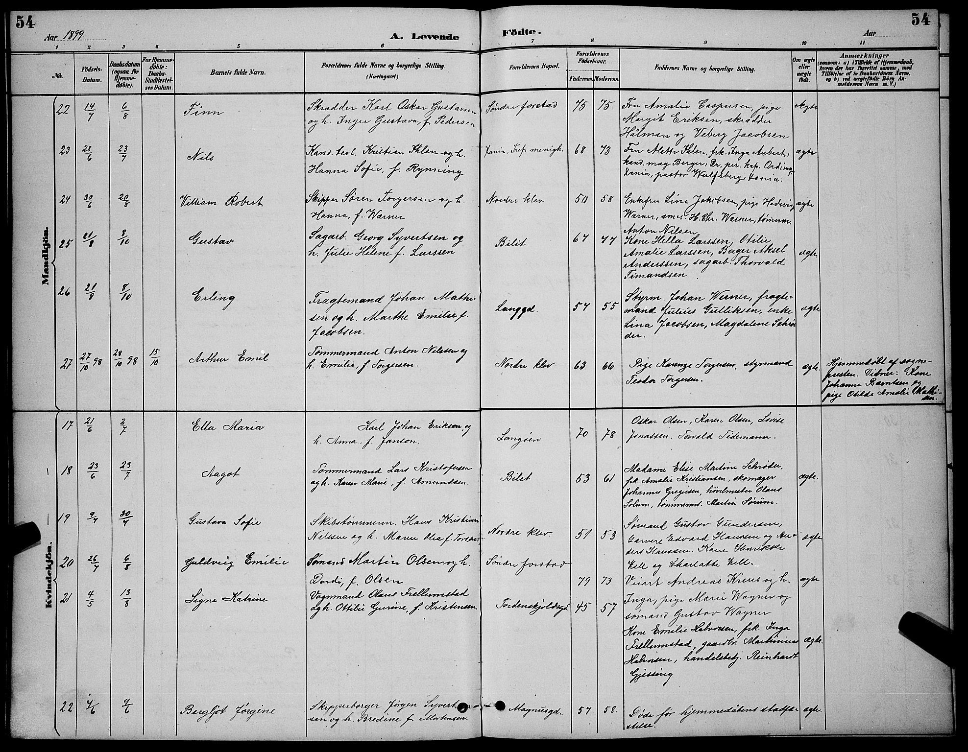 Holmestrand kirkebøker, AV/SAKO-A-346/G/Ga/L0005: Parish register (copy) no. 5, 1889-1901, p. 54