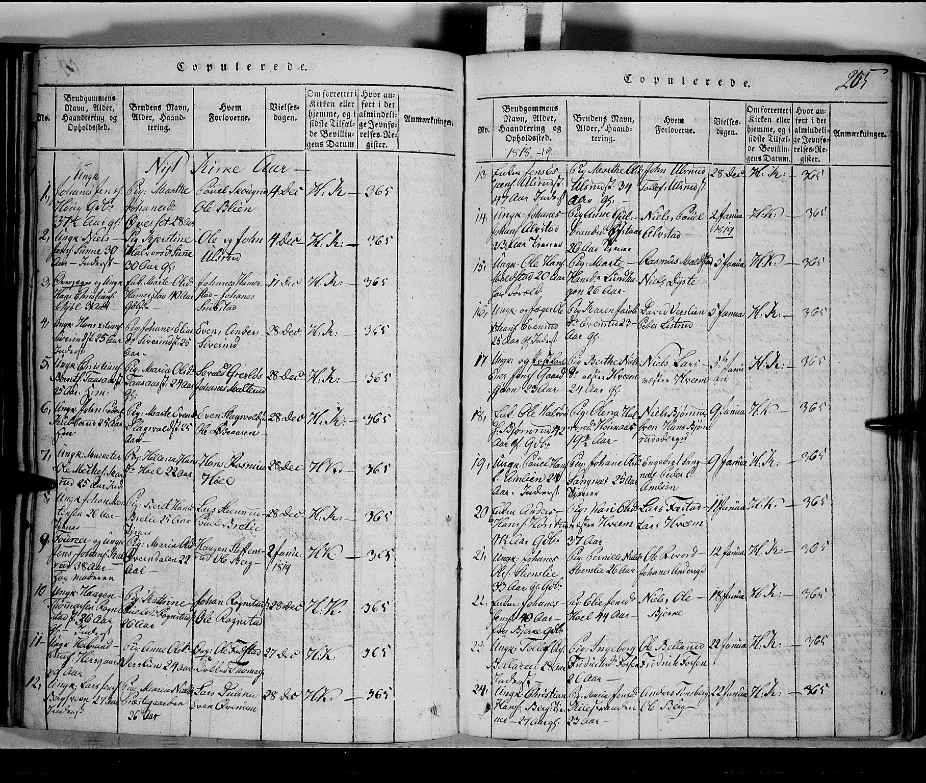 Toten prestekontor, SAH/PREST-102/H/Ha/Hab/L0001: Parish register (copy) no. 1, 1814-1820, p. 205