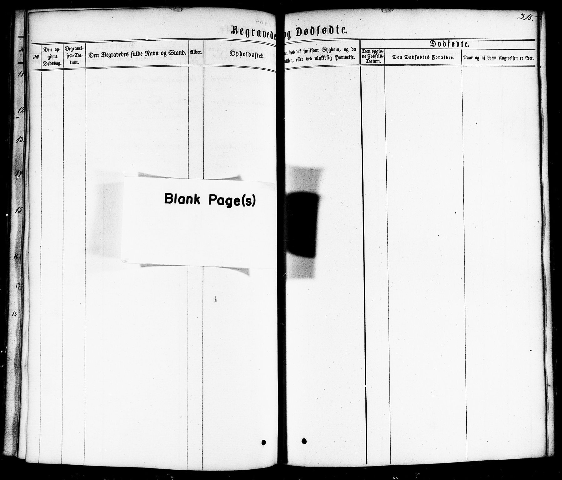 Ministerialprotokoller, klokkerbøker og fødselsregistre - Nordland, AV/SAT-A-1459/872/L1034: Parish register (official) no. 872A09, 1864-1884, p. 315