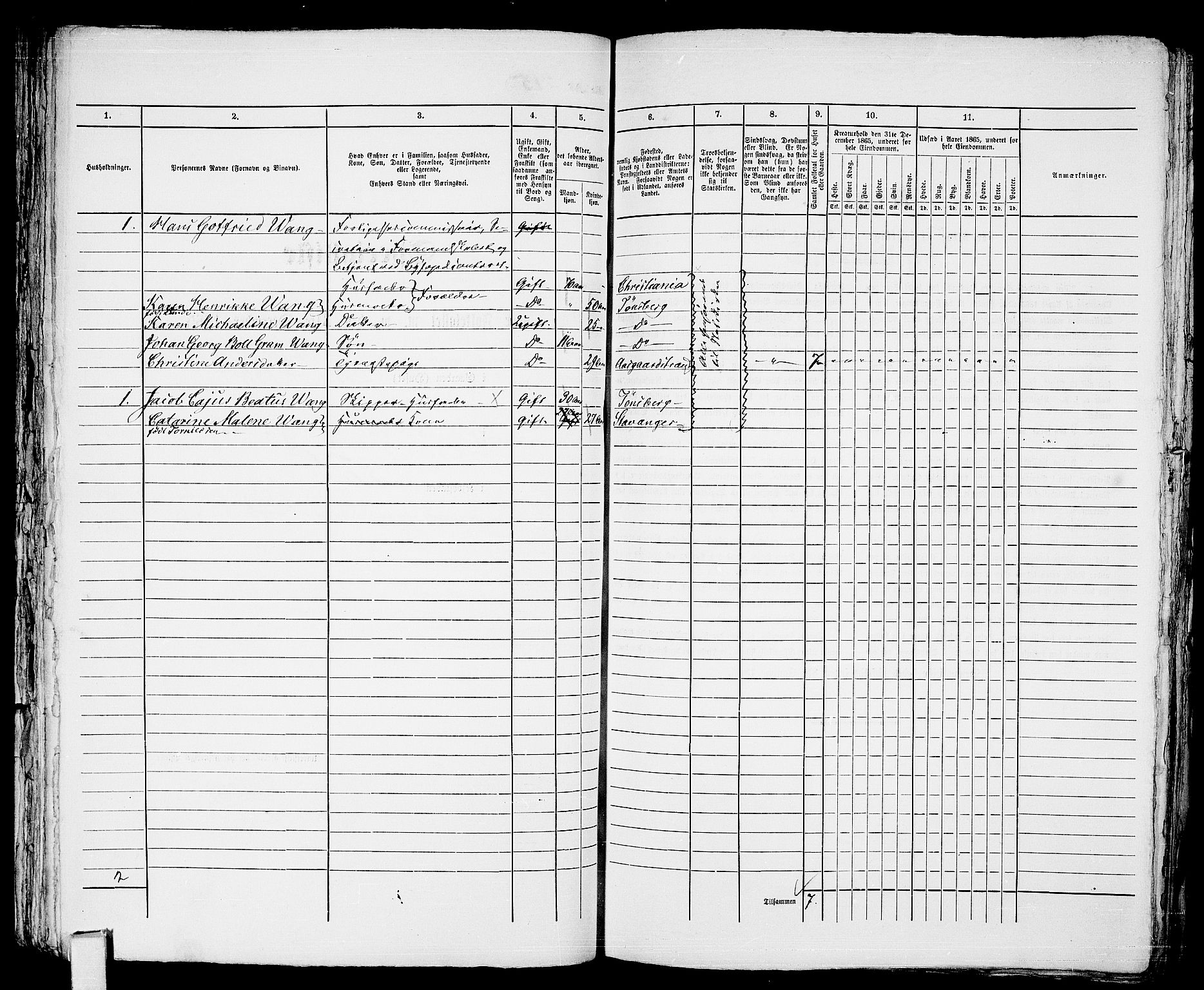 RA, 1865 census for Tønsberg, 1865, p. 466