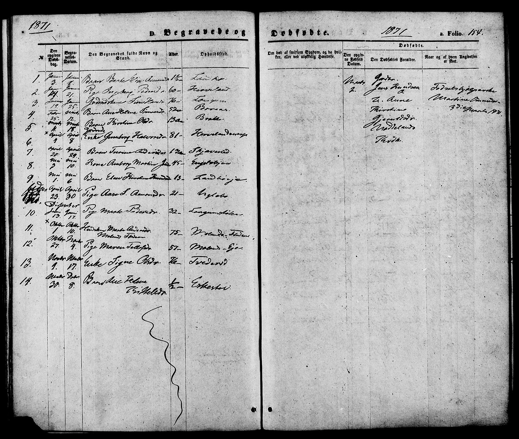 Austre Moland sokneprestkontor, SAK/1111-0001/F/Fa/Faa/L0009: Parish register (official) no. A 9, 1869-1879, p. 154