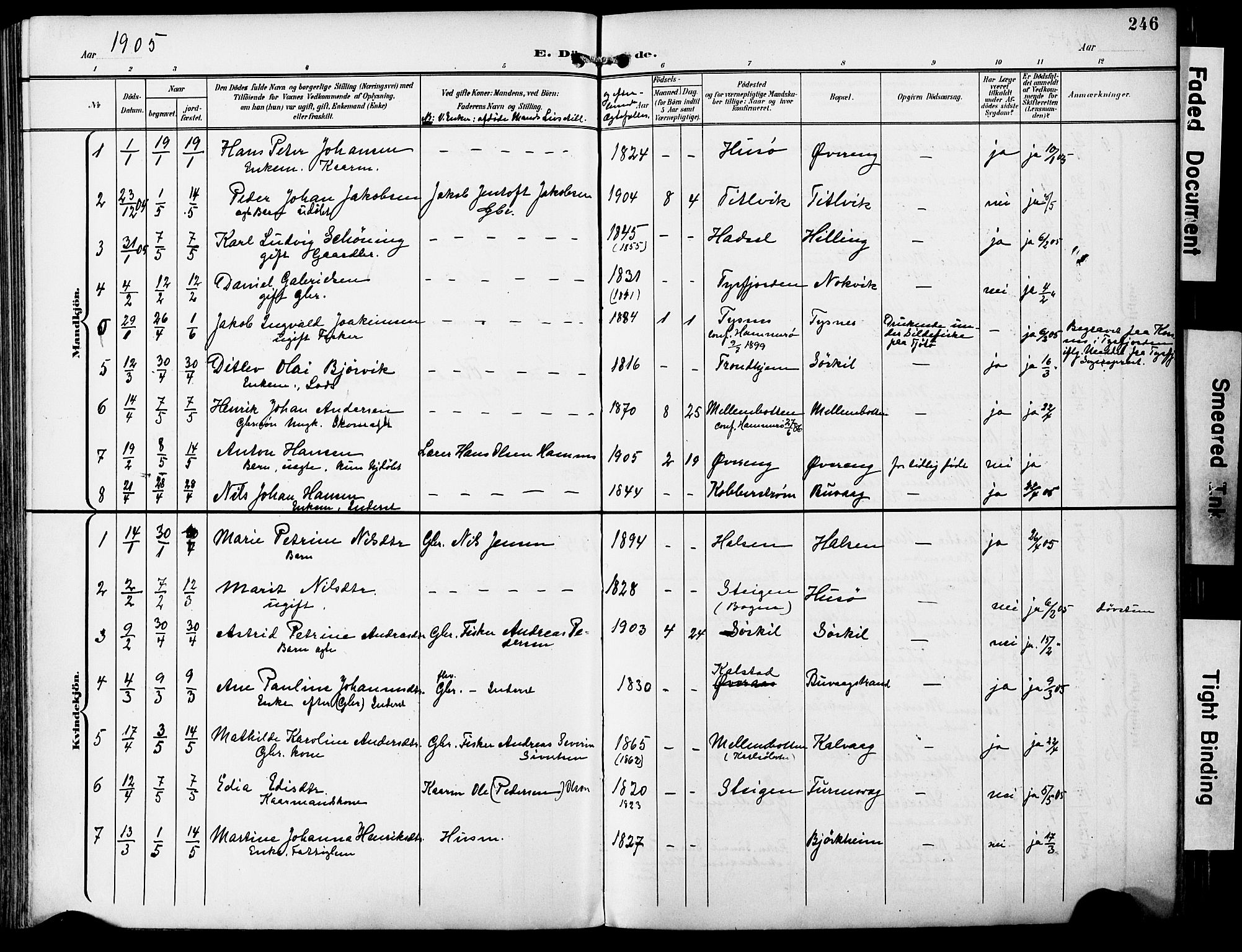 Ministerialprotokoller, klokkerbøker og fødselsregistre - Nordland, AV/SAT-A-1459/859/L0848: Parish register (official) no. 859A08, 1900-1912, p. 246