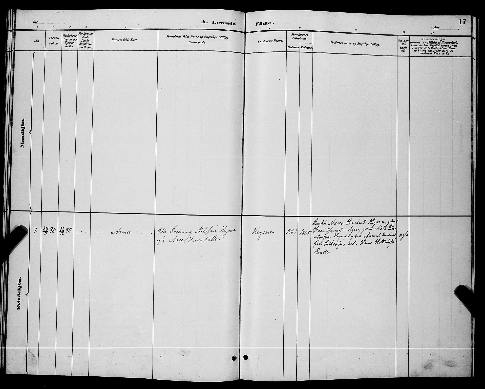 Lunde kirkebøker, SAKO/A-282/G/Gb/L0002: Parish register (copy) no. II 2, 1888-1895, p. 17