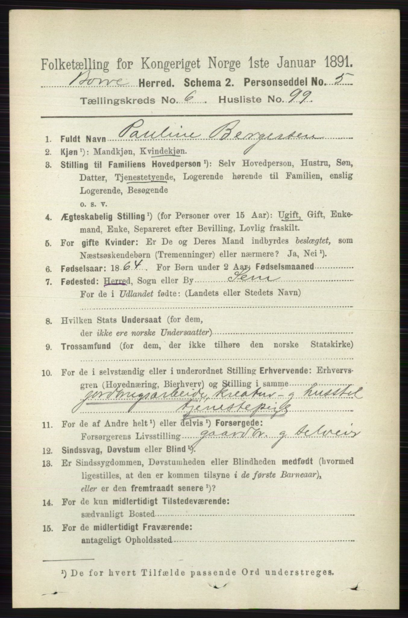 RA, 1891 census for 0717 Borre, 1891, p. 3128