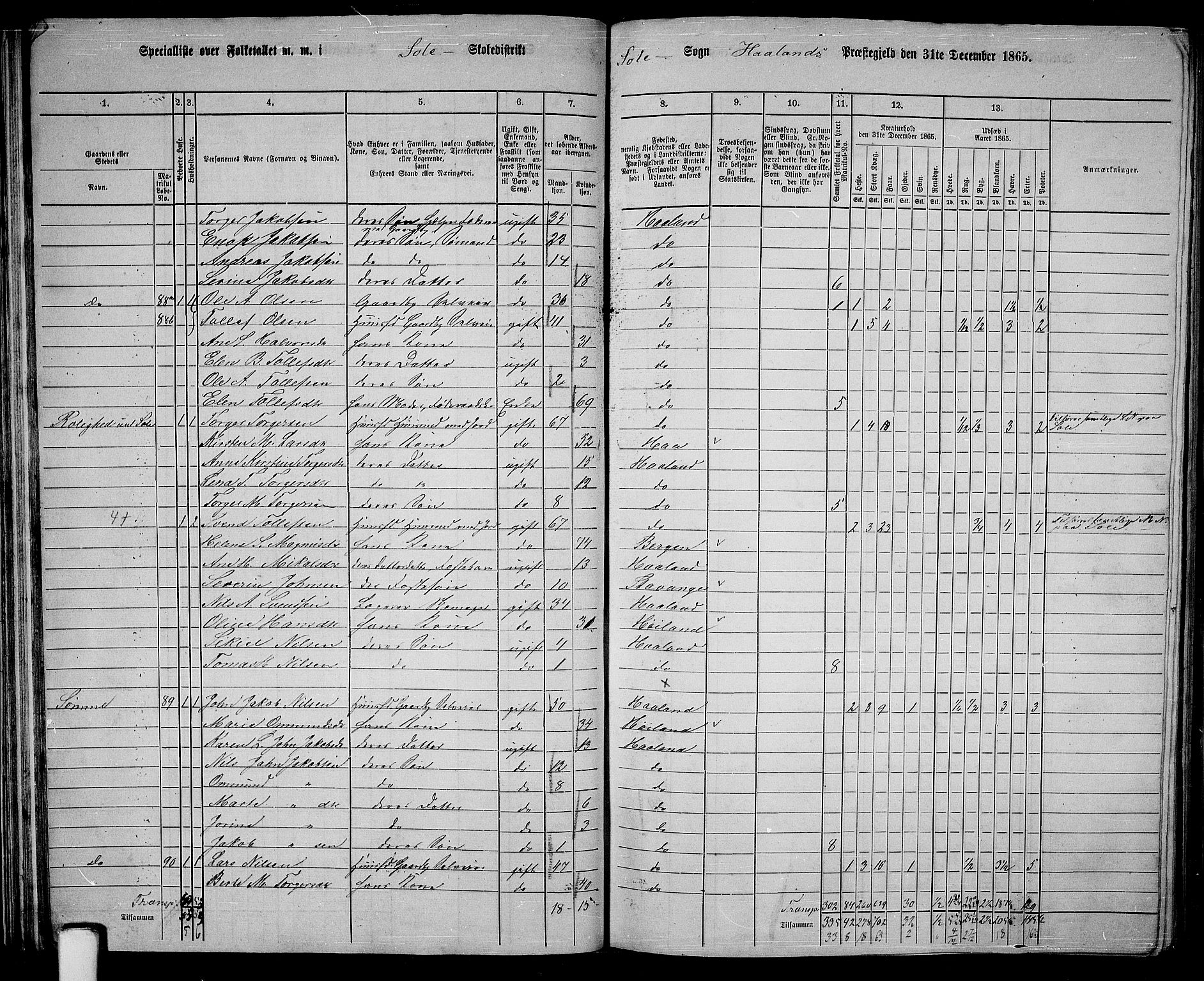 RA, 1865 census for Håland, 1865, p. 45