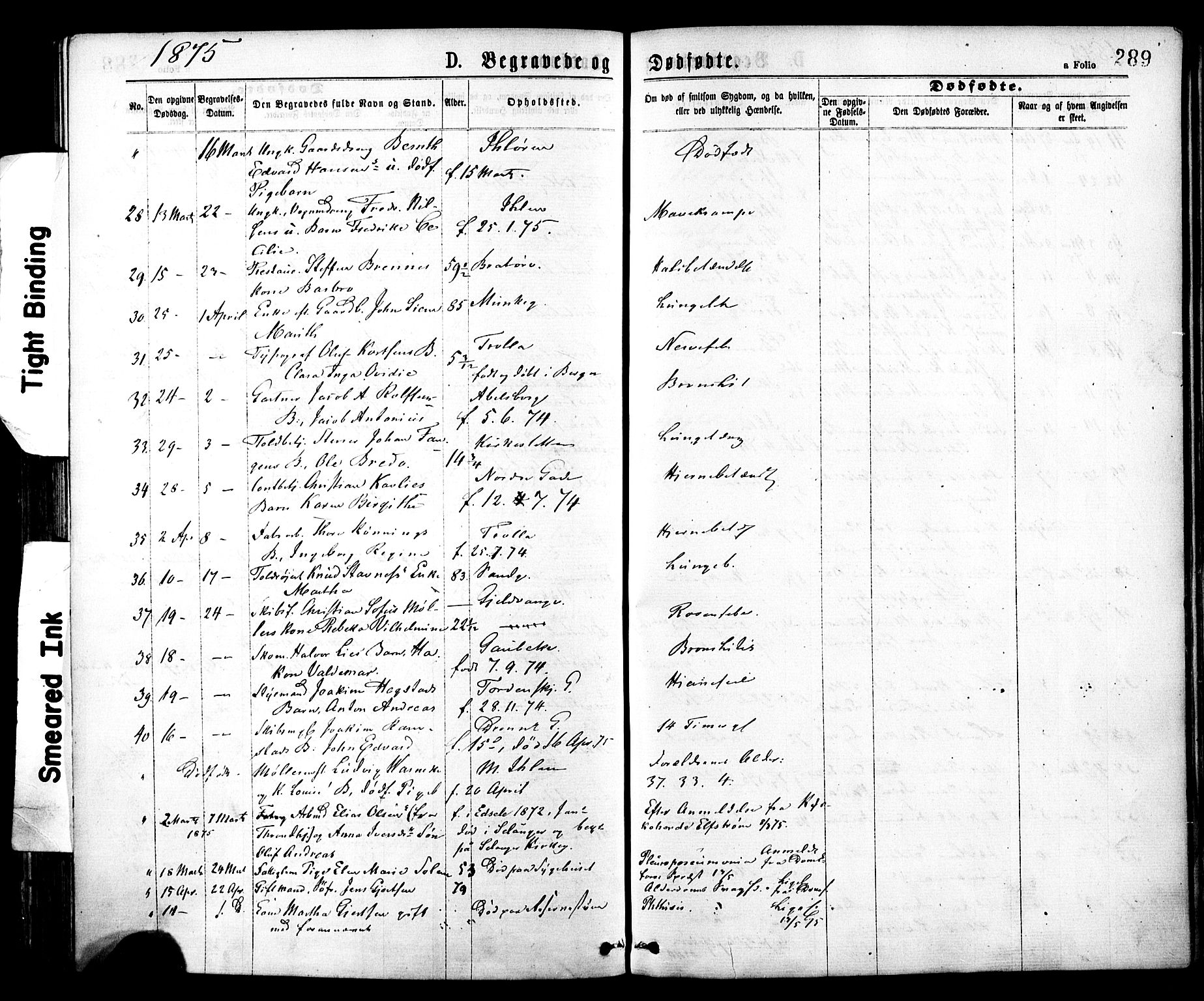 Ministerialprotokoller, klokkerbøker og fødselsregistre - Sør-Trøndelag, AV/SAT-A-1456/602/L0118: Parish register (official) no. 602A16, 1873-1879, p. 289