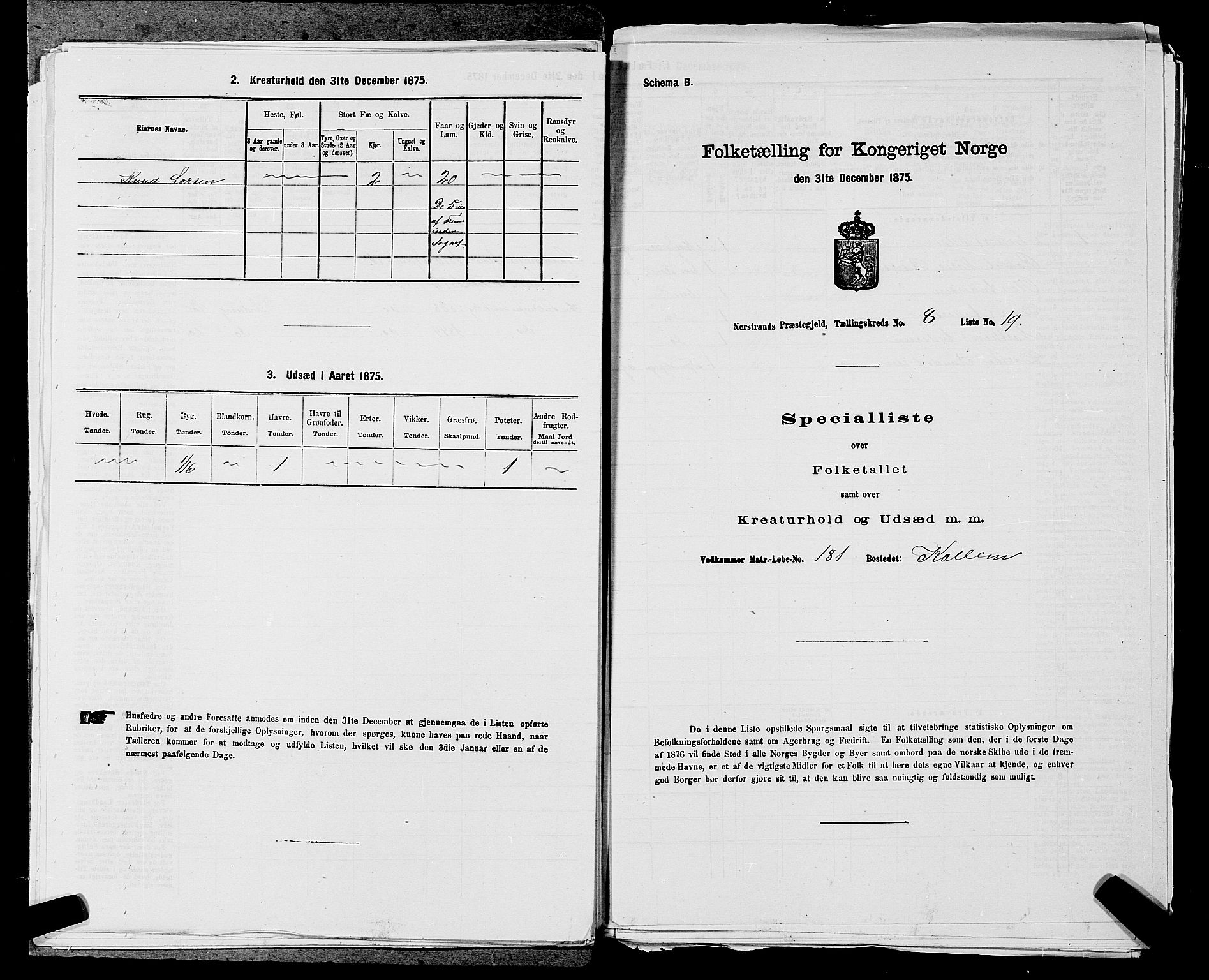 SAST, 1875 census for 1139P Nedstrand, 1875, p. 895