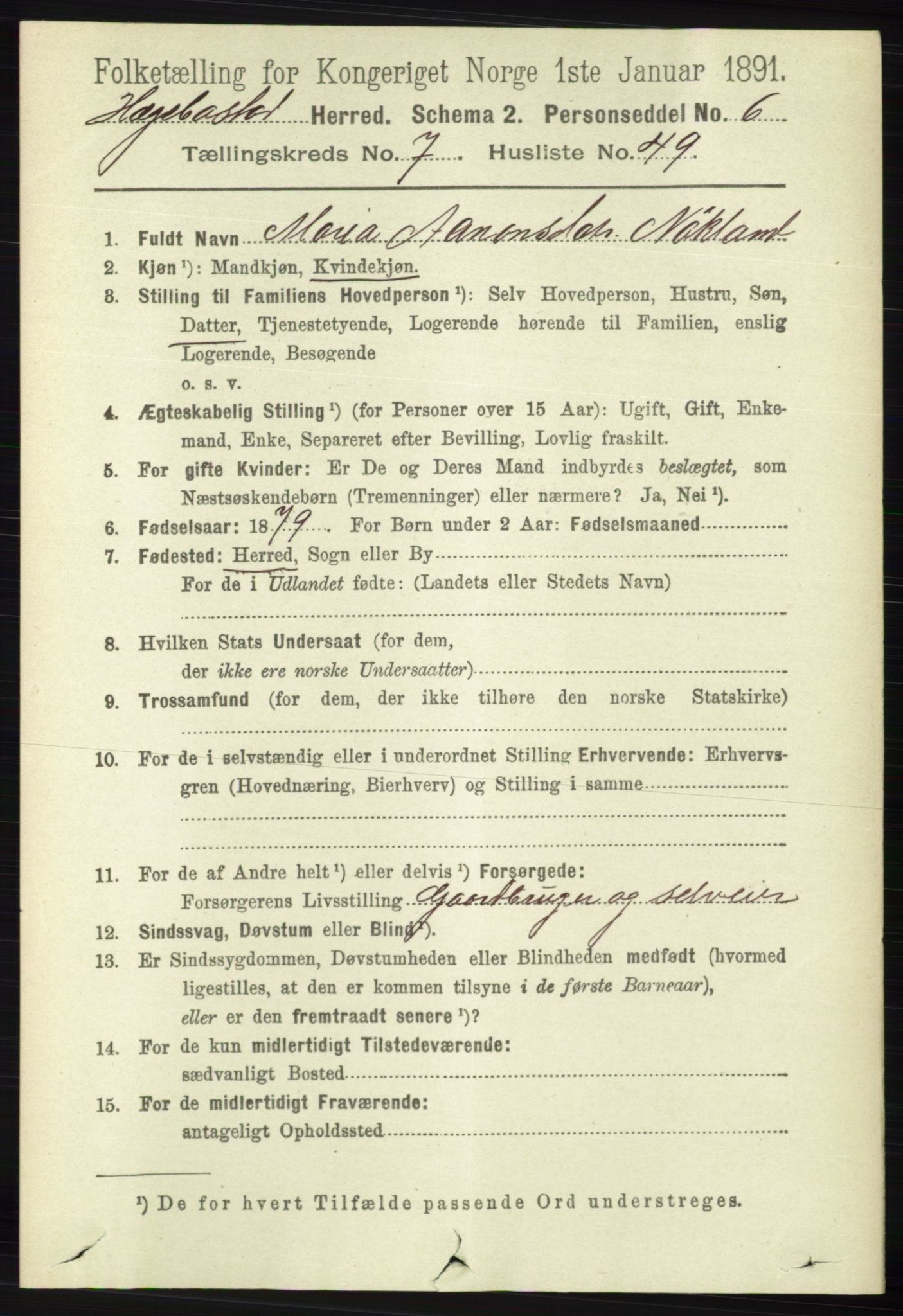 RA, 1891 census for 1034 Hægebostad, 1891, p. 2409