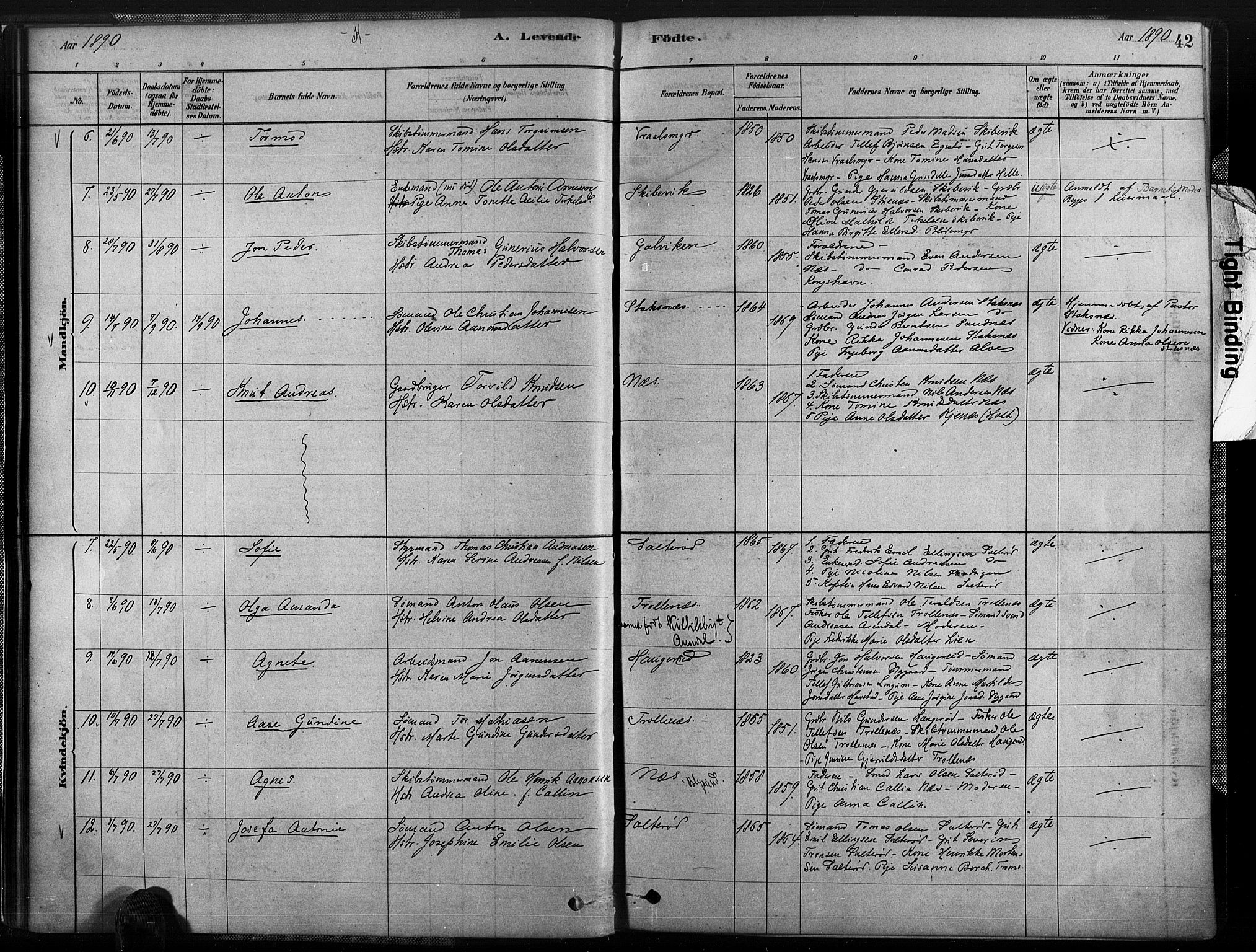 Austre Moland sokneprestkontor, AV/SAK-1111-0001/F/Fa/Fab/L0001: Parish register (official) no. A 1, 1878-1898, p. 42