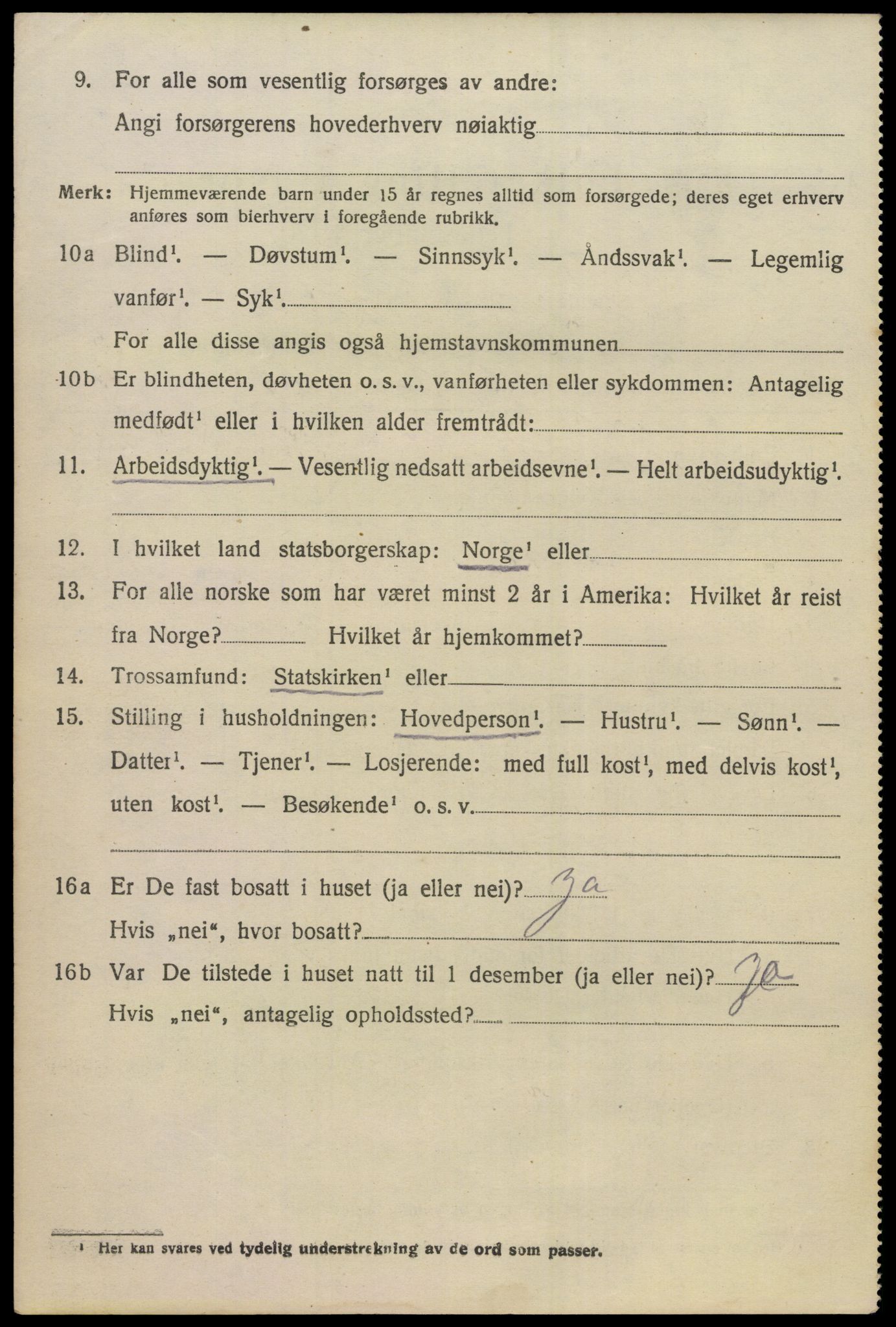 SAKO, 1920 census for Hol (Buskerud), 1920, p. 2816