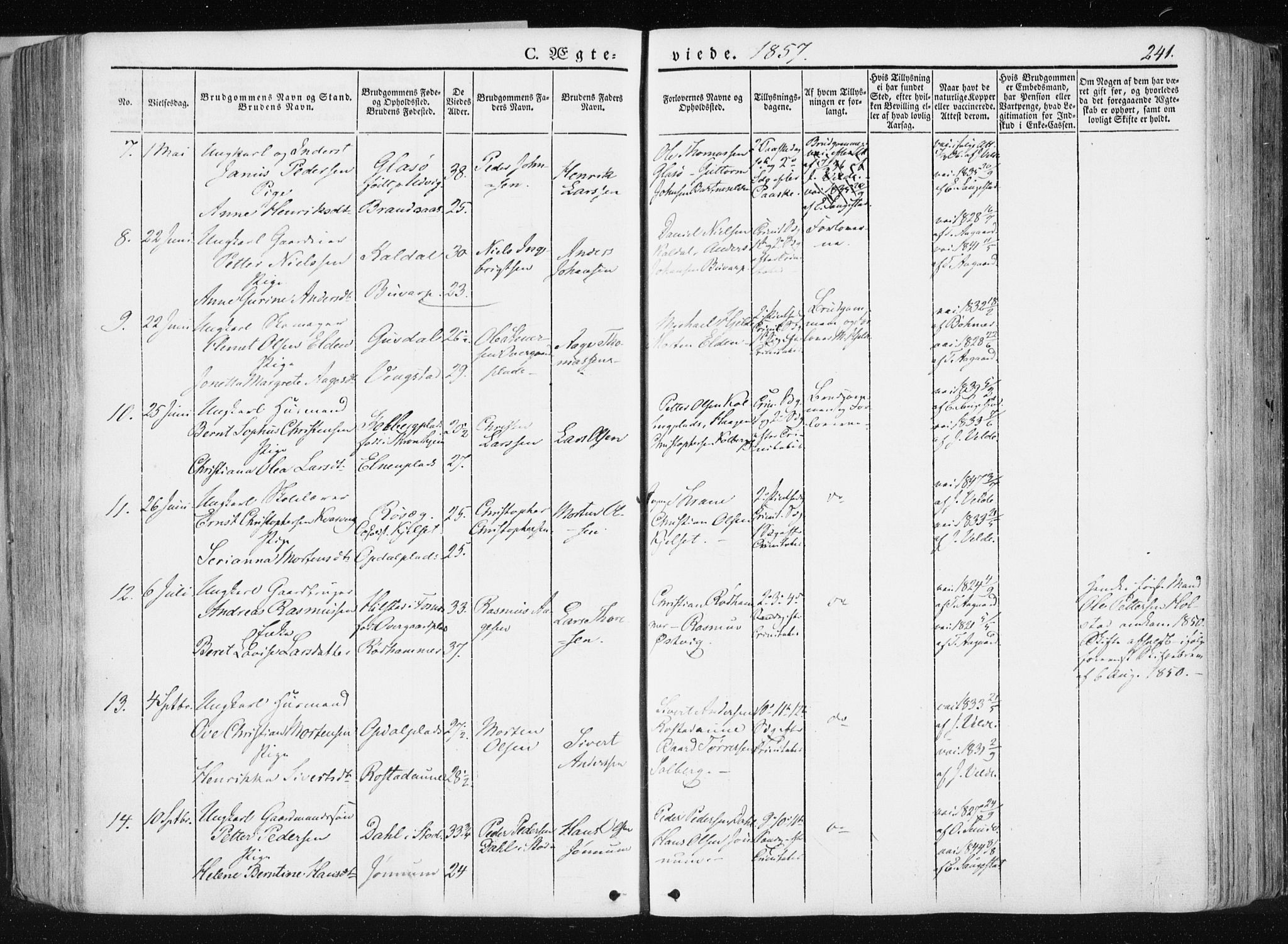 Ministerialprotokoller, klokkerbøker og fødselsregistre - Nord-Trøndelag, SAT/A-1458/741/L0393: Parish register (official) no. 741A07, 1849-1863, p. 241