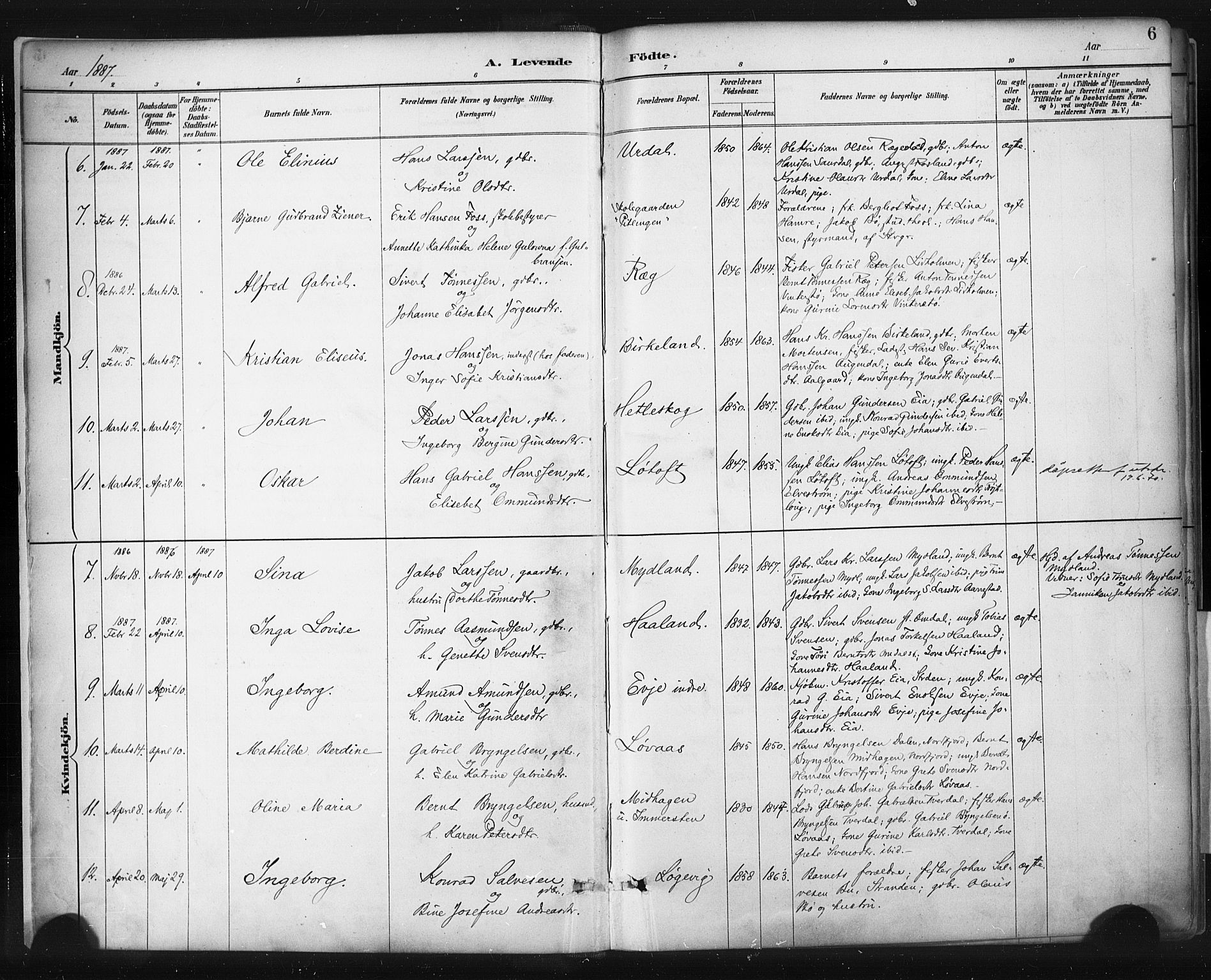 Sokndal sokneprestkontor, AV/SAST-A-101808: Parish register (official) no. A 11.1, 1887-1905, p. 6