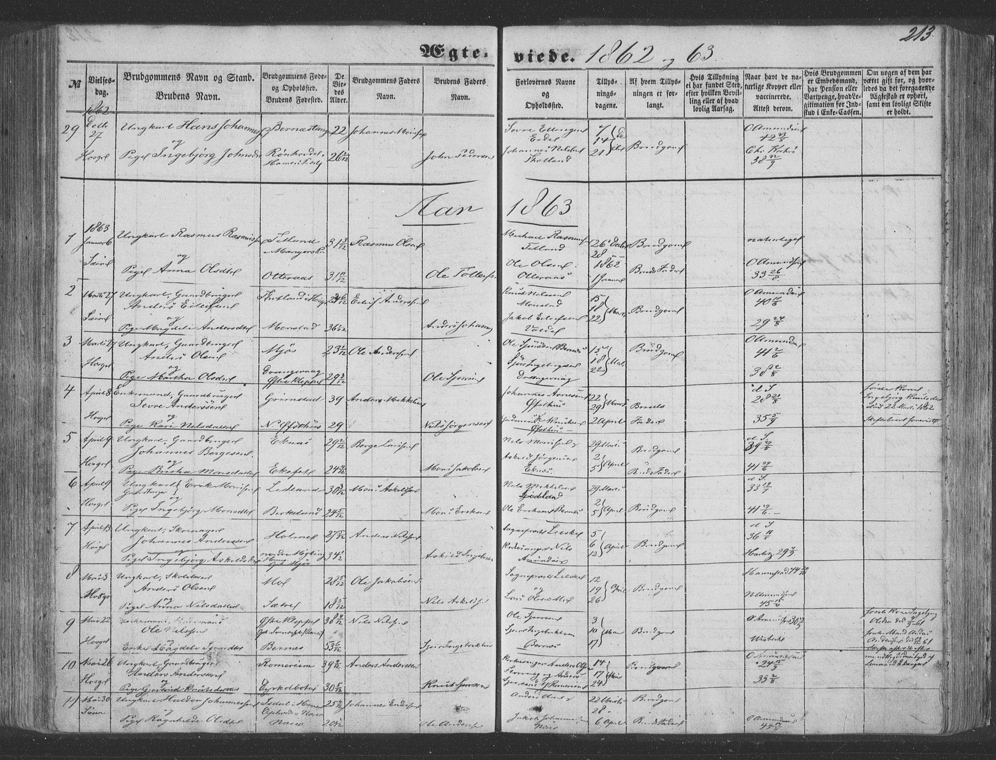 Hosanger sokneprestembete, SAB/A-75801/H/Haa: Parish register (official) no. A 8, 1849-1863, p. 213