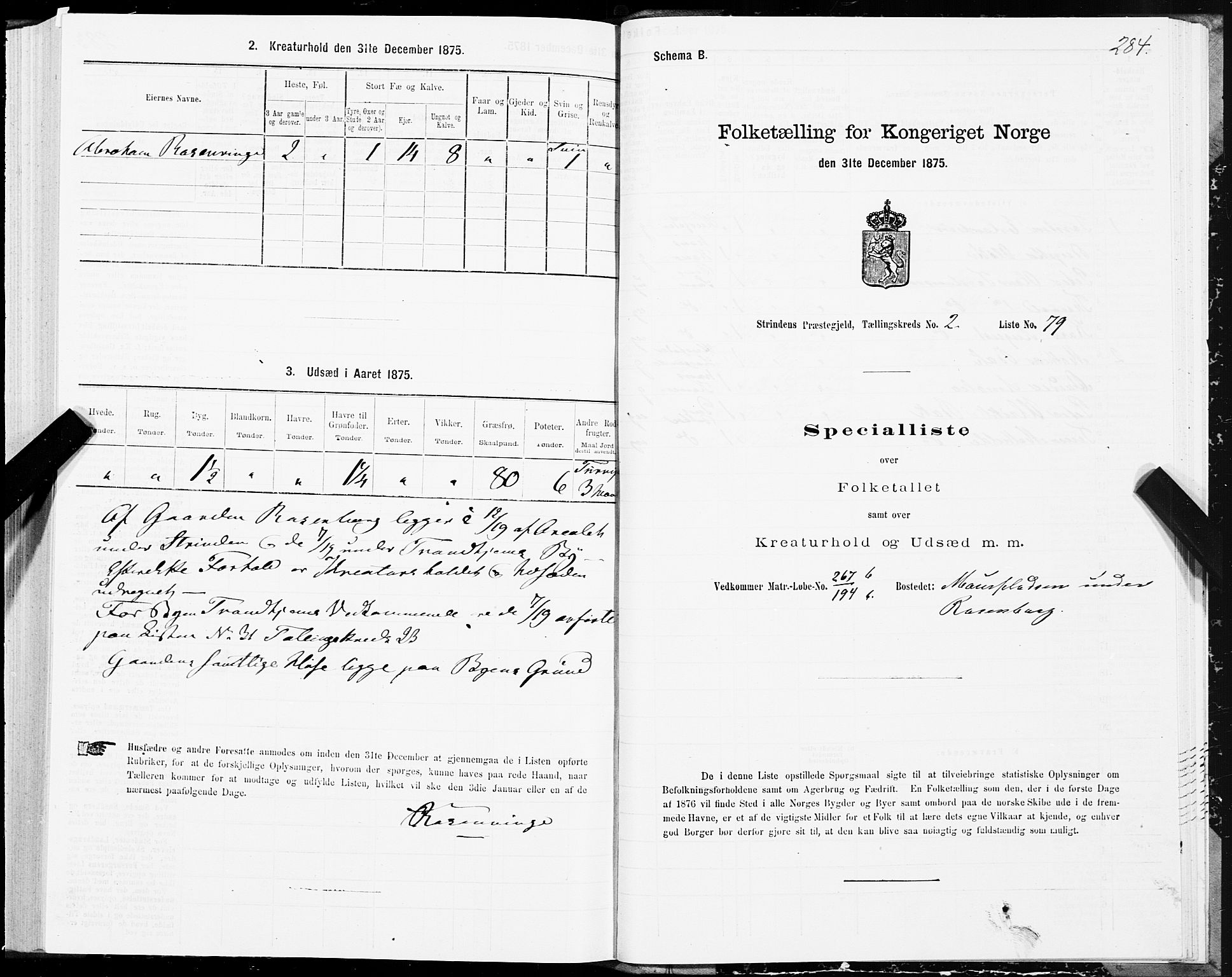 SAT, 1875 census for 1660P Strinda, 1875, p. 1284