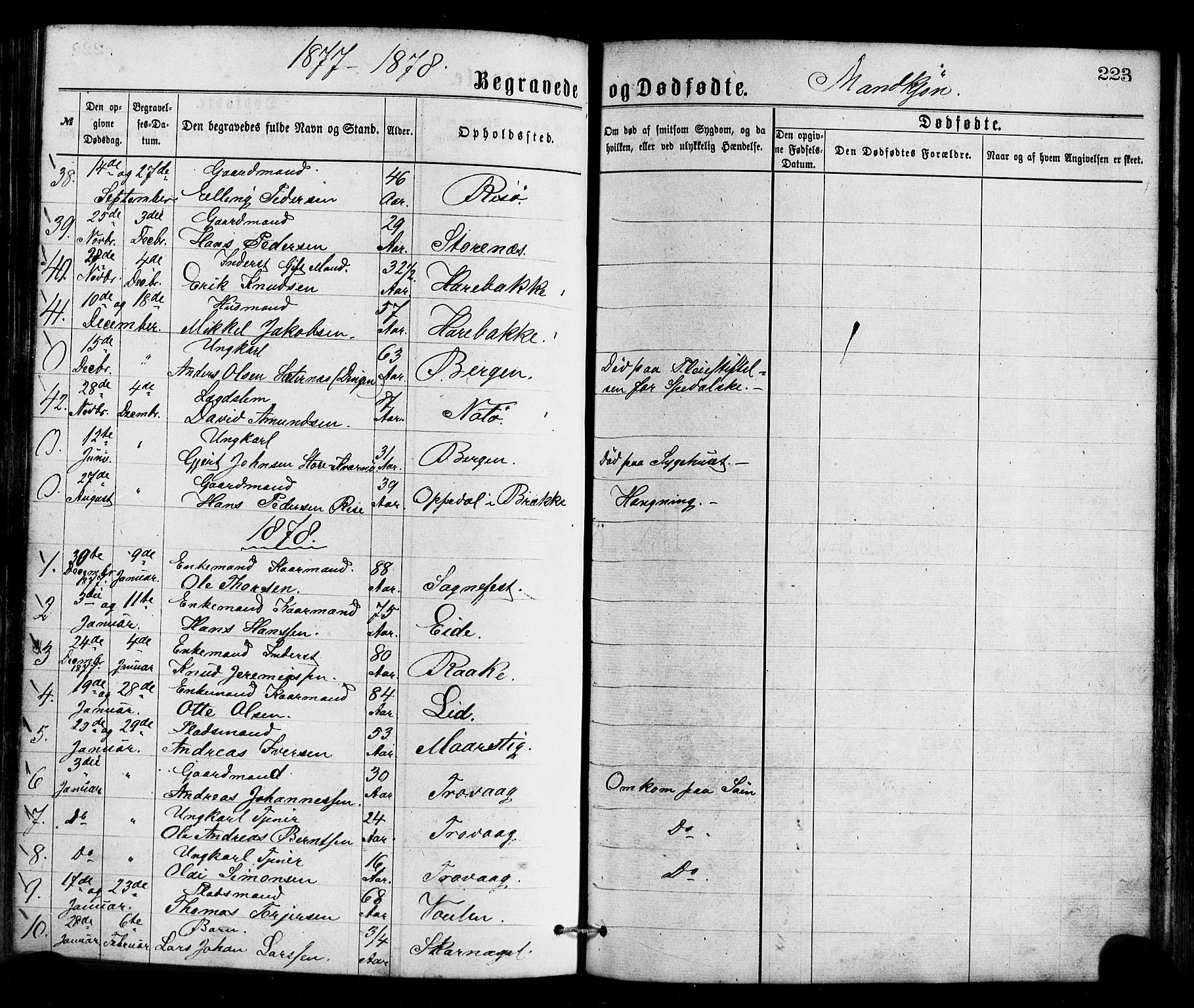 Gulen sokneprestembete, AV/SAB-A-80201/H/Haa/Haaa/L0023: Parish register (official) no. A 23, 1870-1880, p. 223